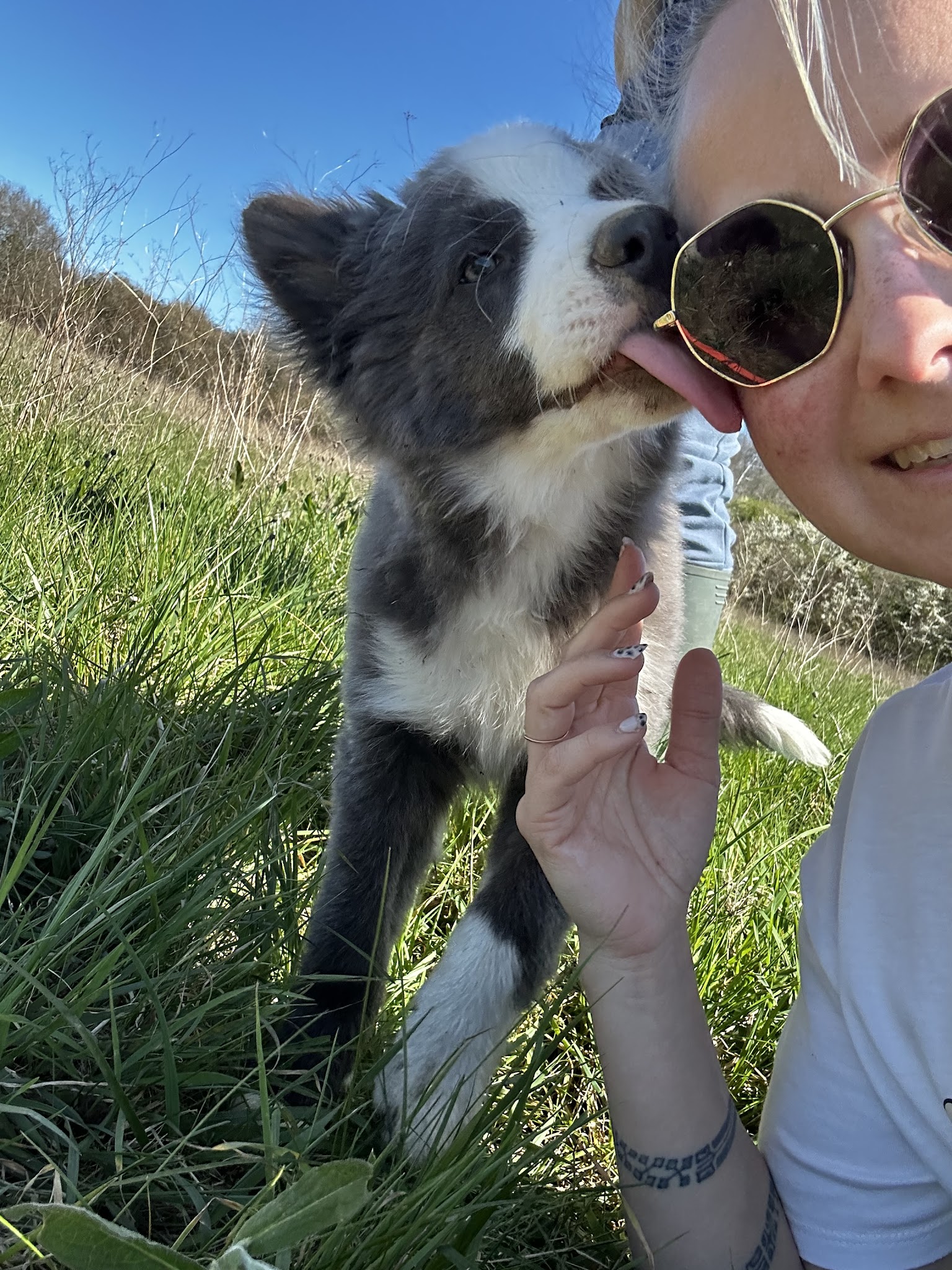 La Fée des Animaux — photo