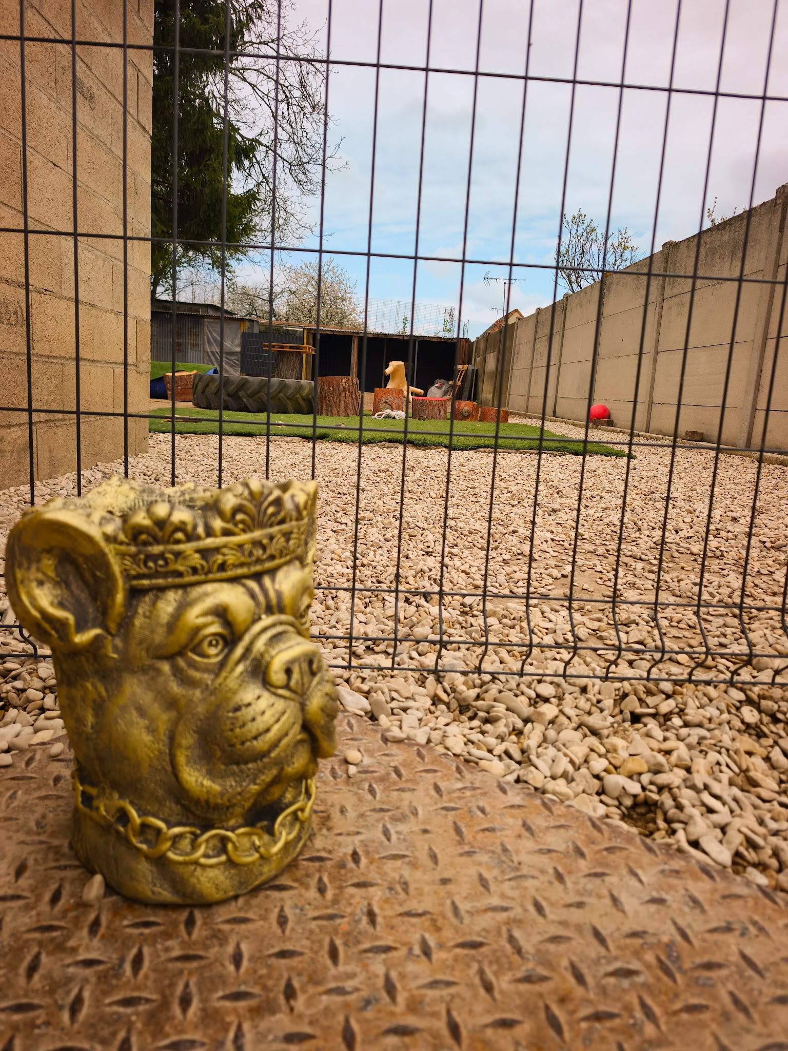 Pension Canine La Retourne — photo