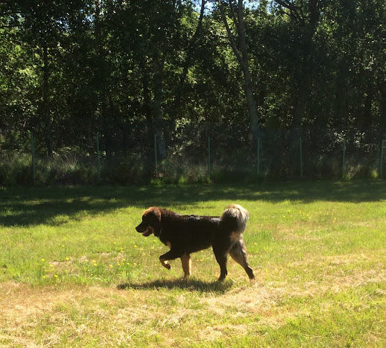 ANIMAL PASSION 33 - PENSION CANINE LANDIRAS - MAGASIN ALIMENTATION POUR ANIMAUX