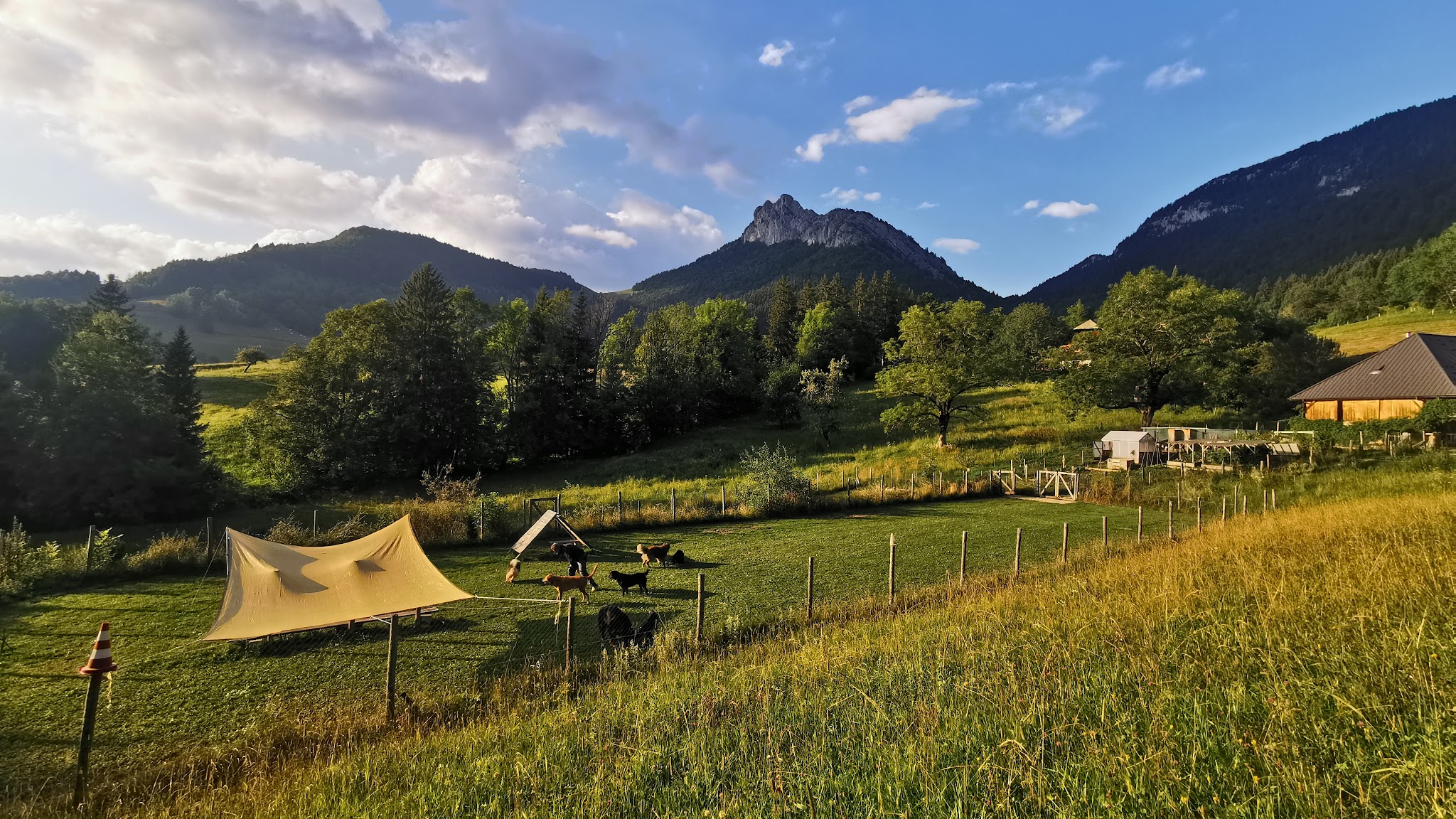 Jangocamp — photo
