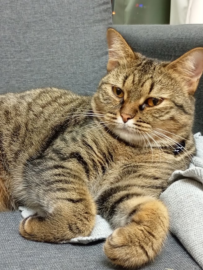 PawCare France — photo