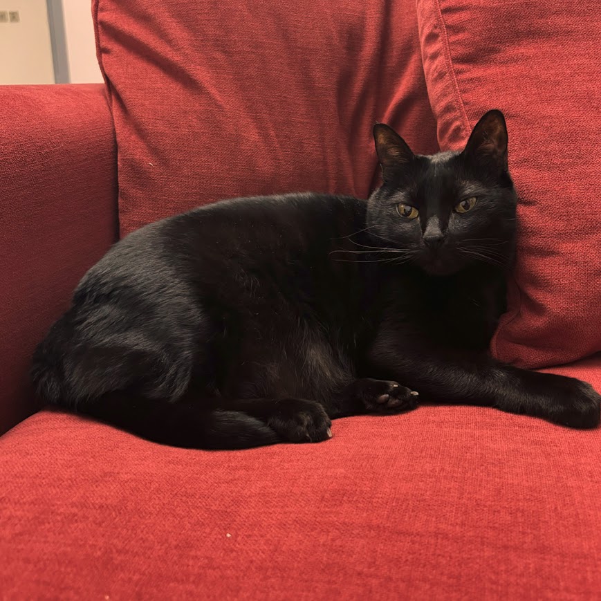 PawCare France — photo