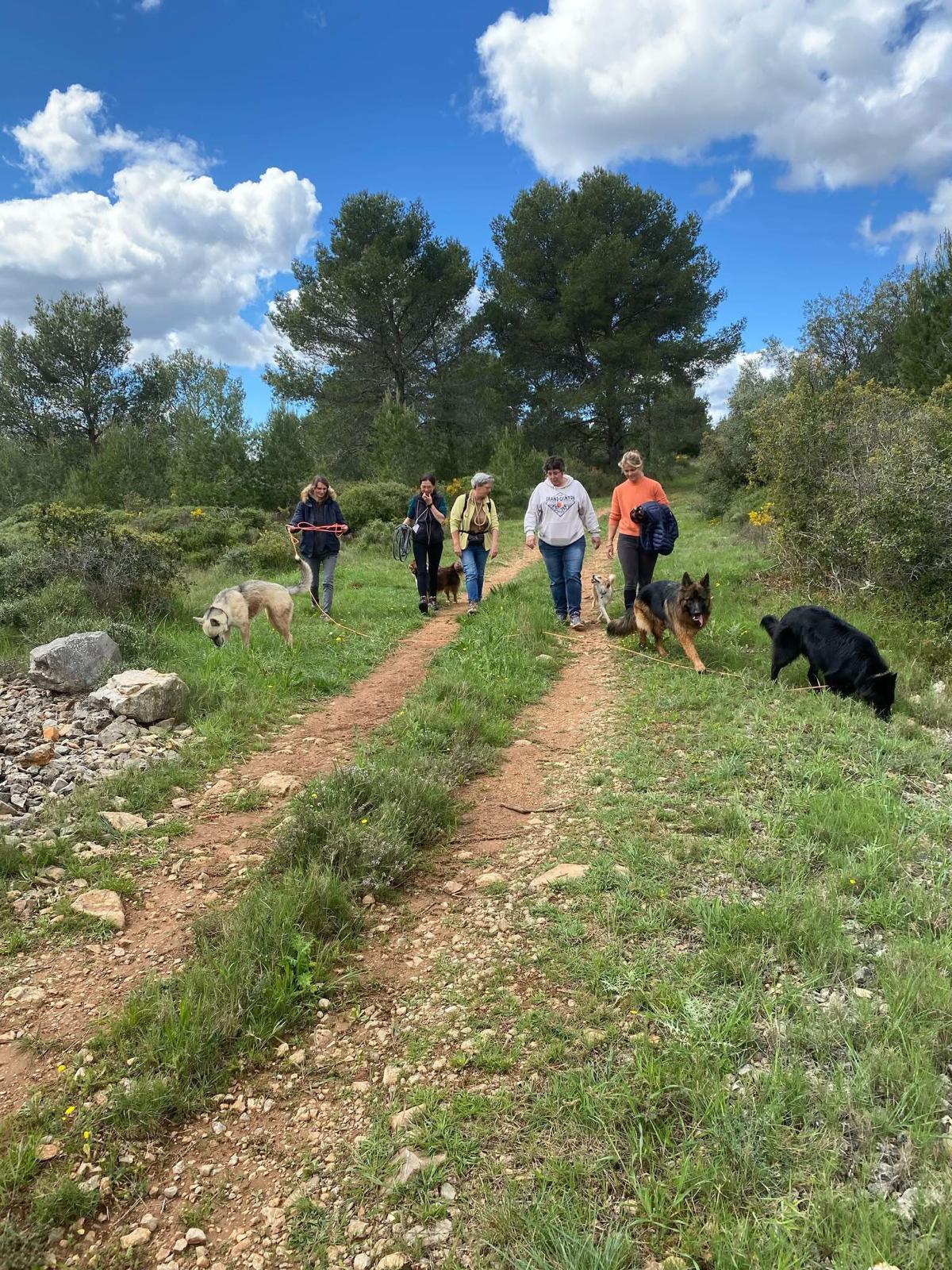 Cani-Cat - Éducation et Pension — photo