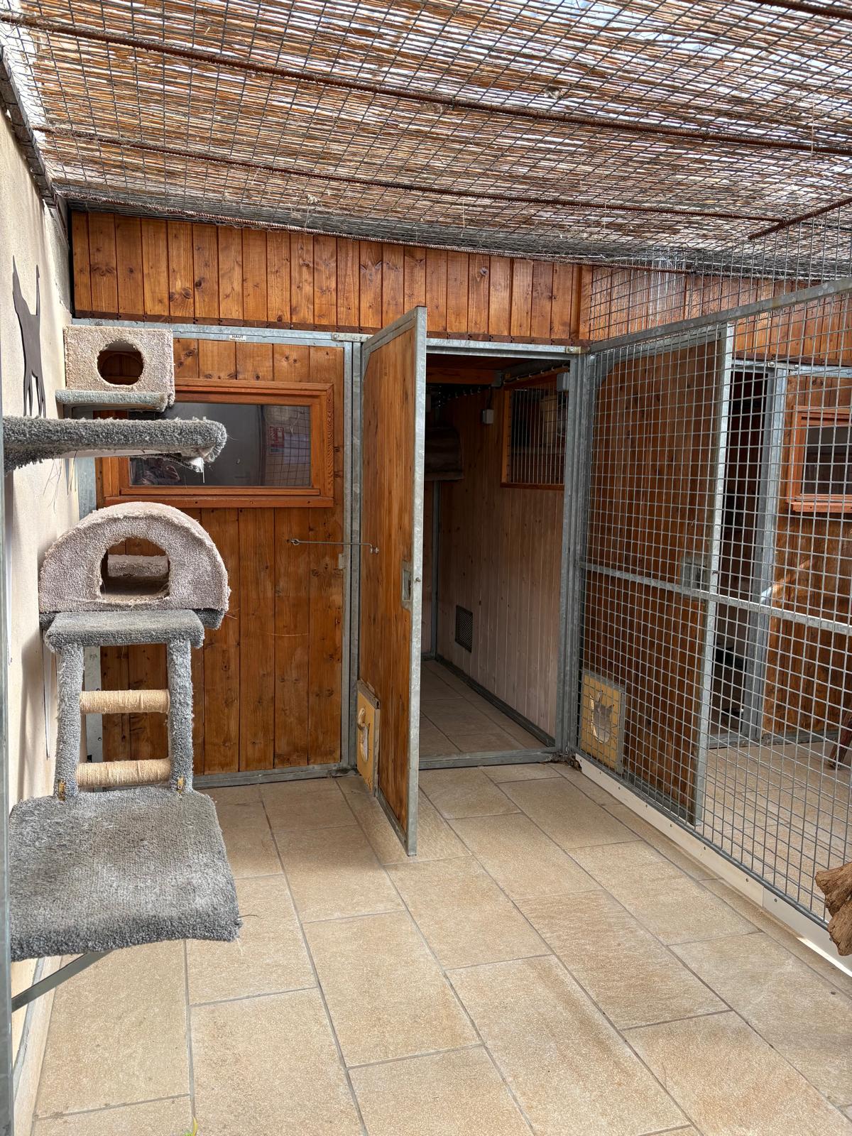 Cani-Cat - Éducation et Pension — photo