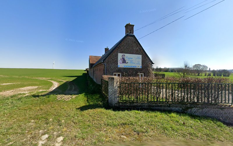 Les prairies de Matisse