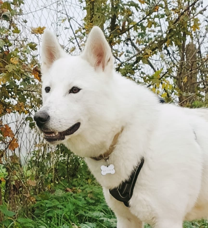 Résidence animalière chez Nathalie — photo