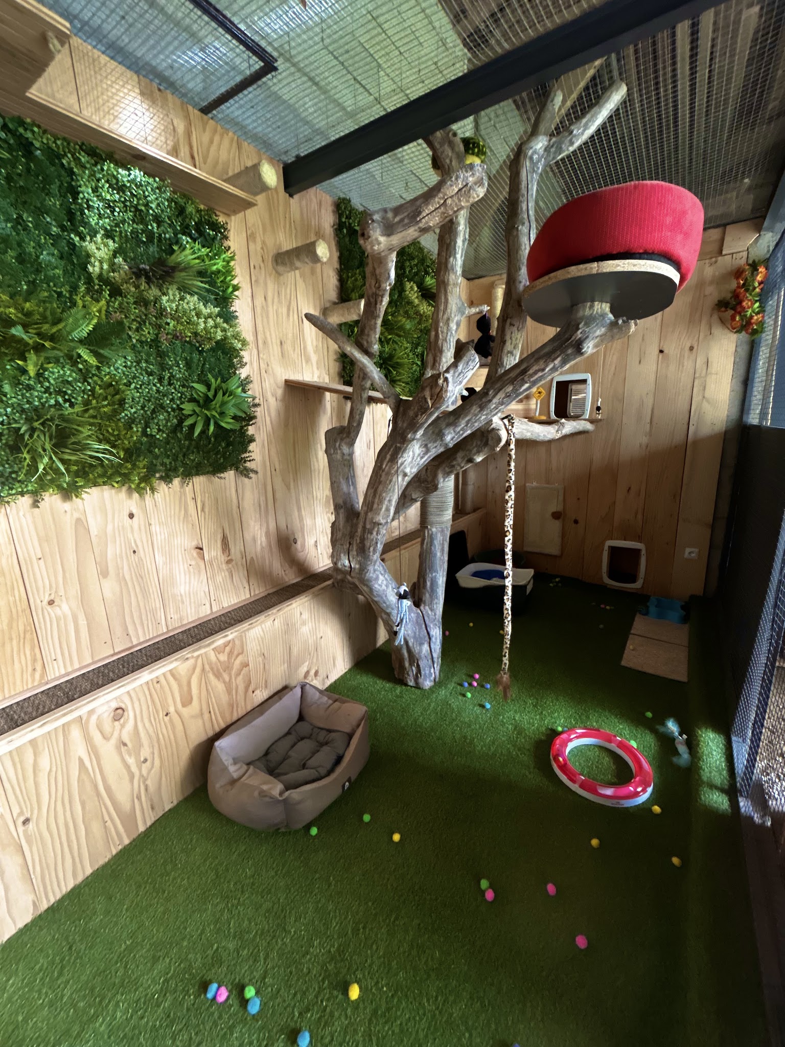 Pension Toilettage le Maine by Sophie — photo