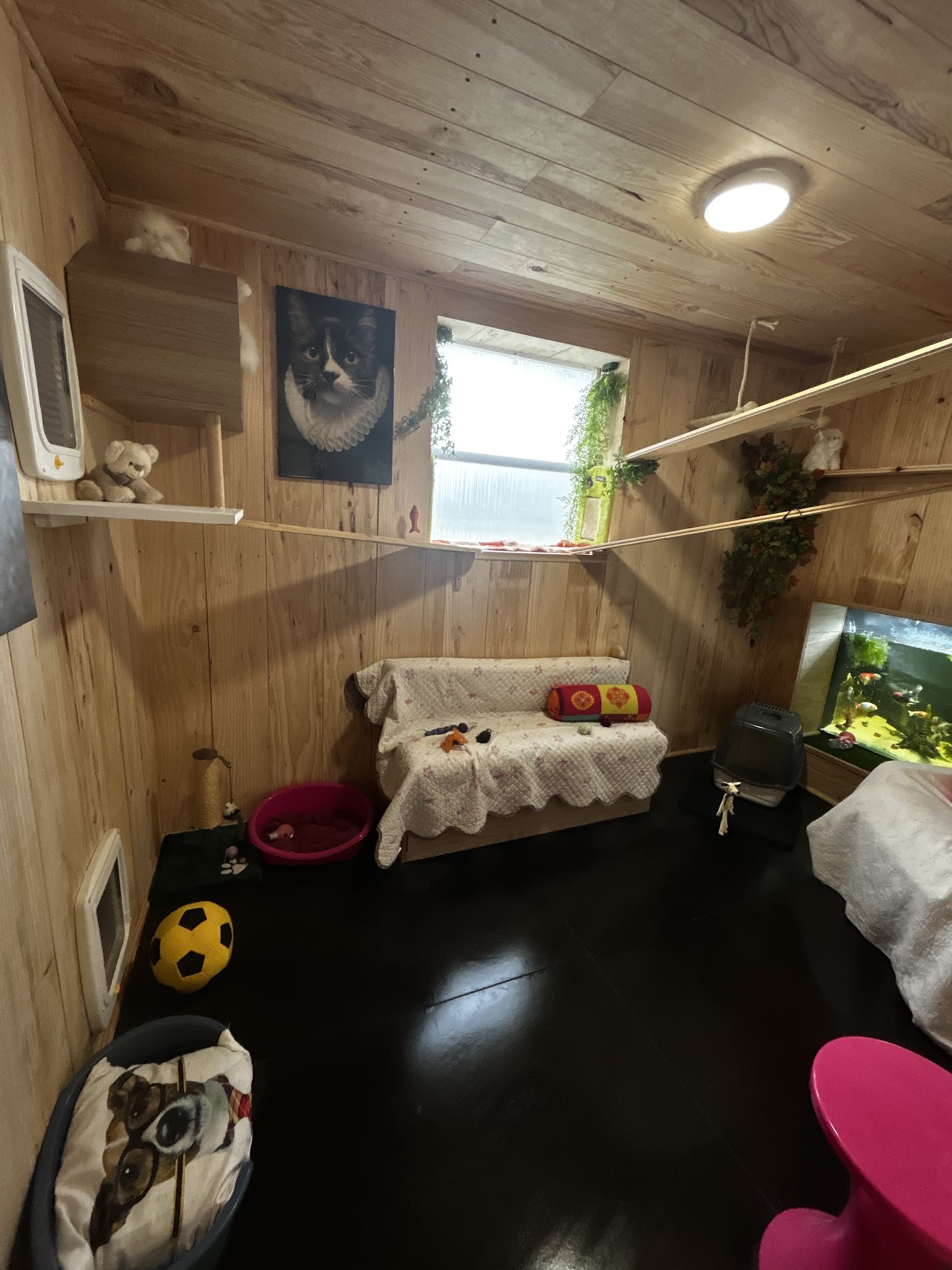 Pension Toilettage le Maine by Sophie — photo