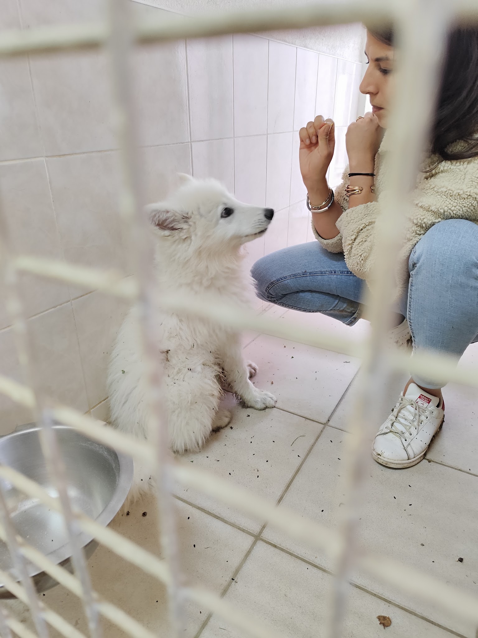Pension canine du Soubirous — photo
