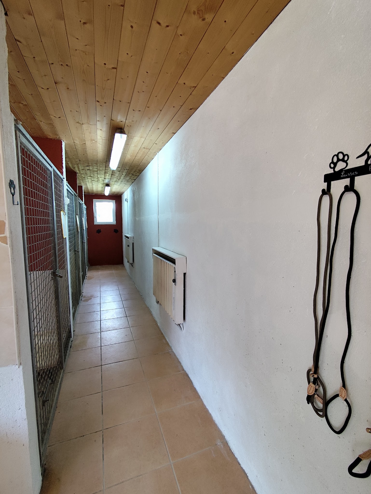 Pension canine du Soubirous — photo