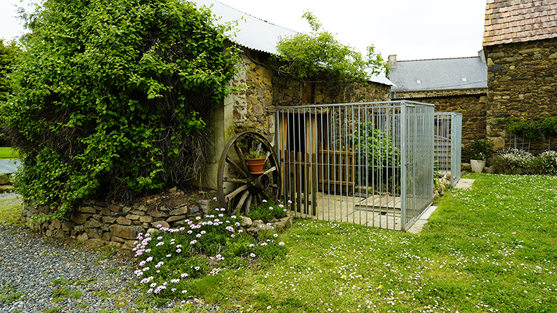 Pension canine Keraliès — photo