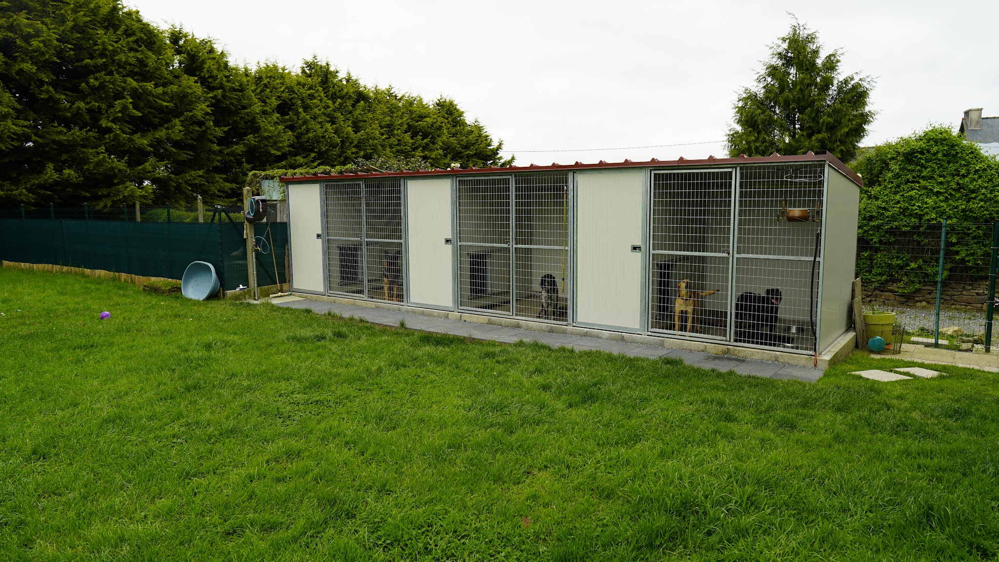 Pension canine Keraliès — photo