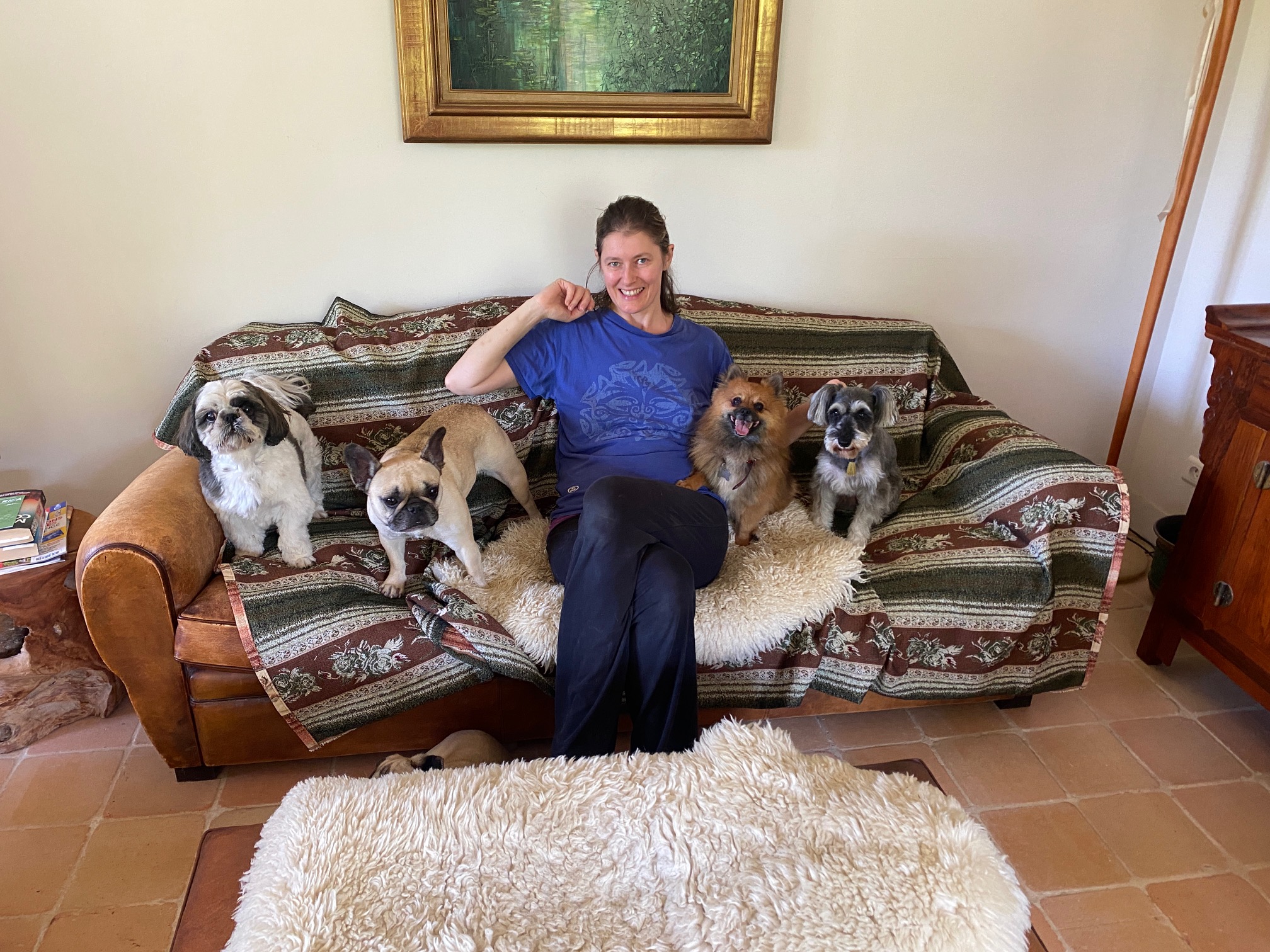 Pension canine familiale Au Paradis des Chiens