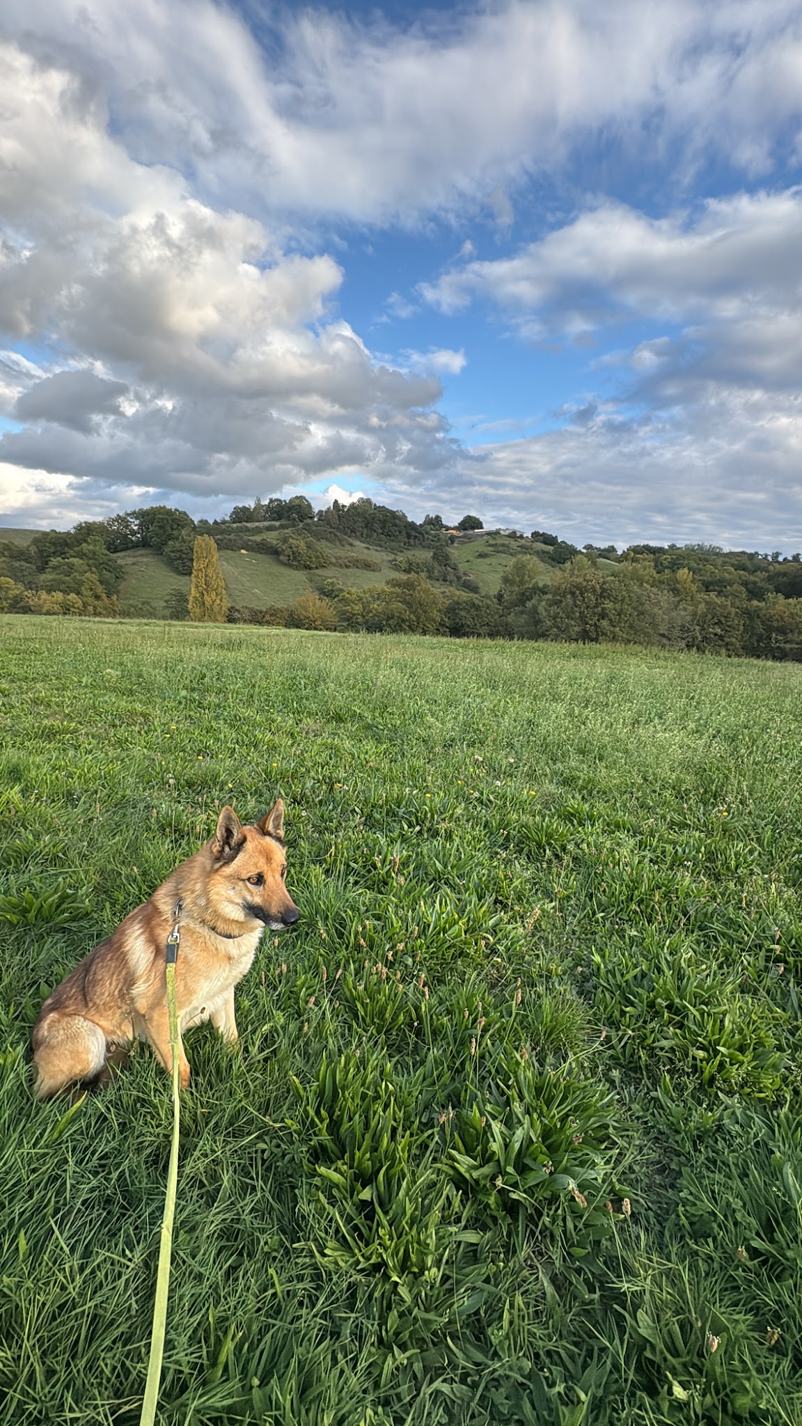 Centre Canin Du Haut de L'arize — photo