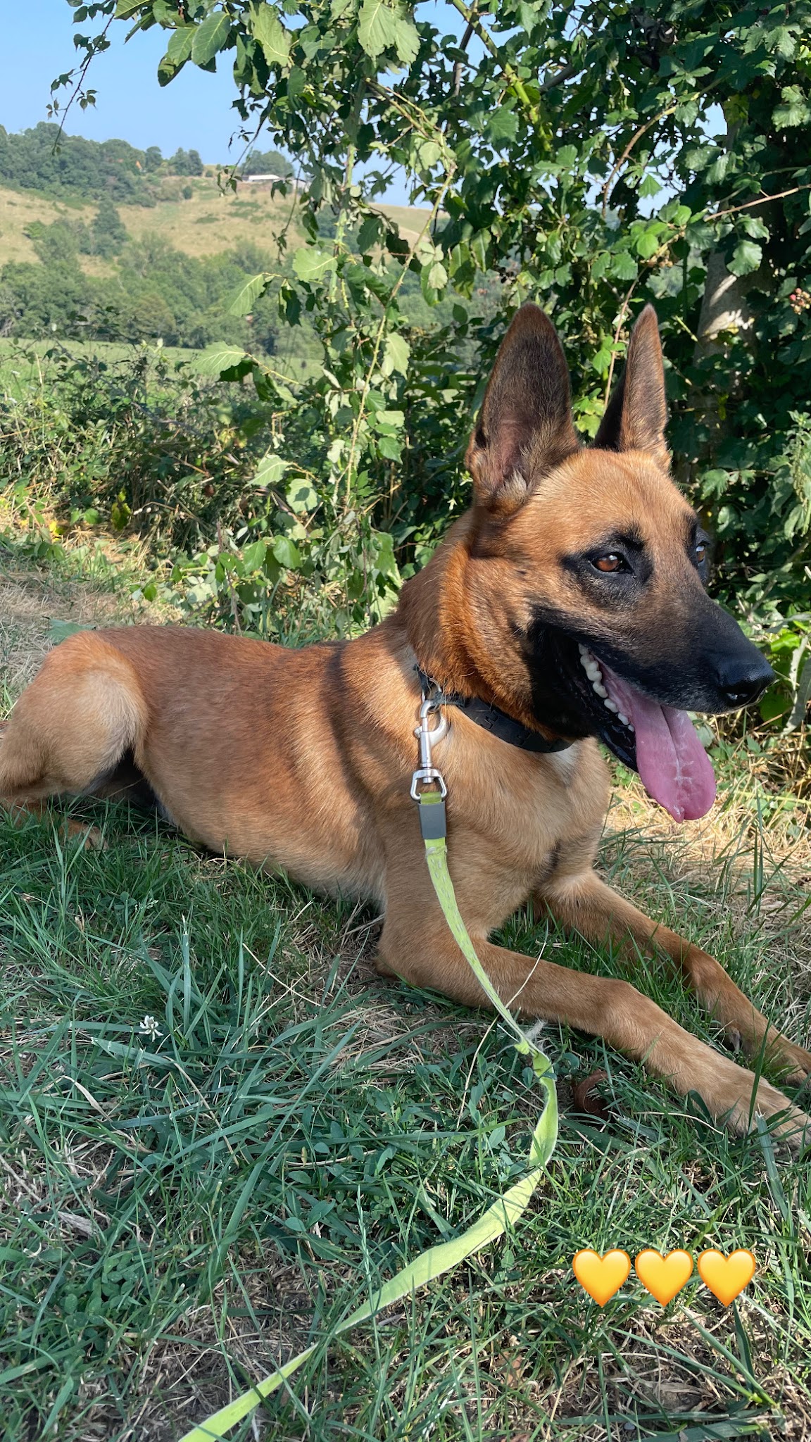 Centre Canin Du Haut de L'arize — photo