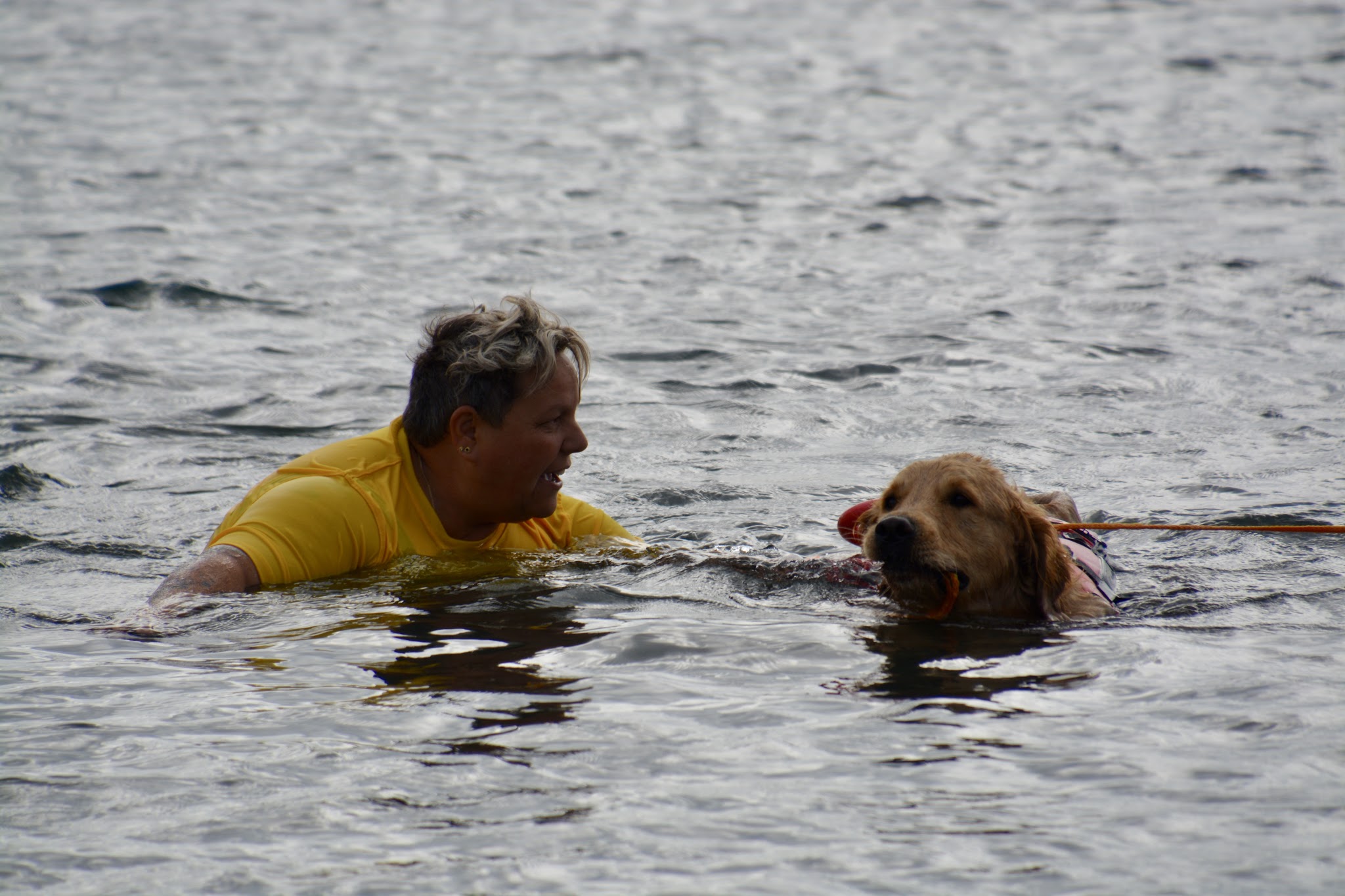 Rainbow Dog Center — photo