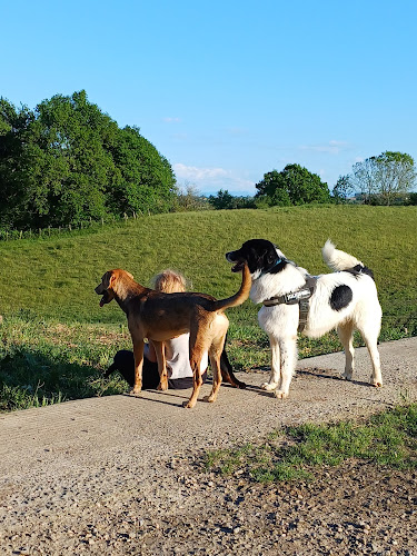 FERME LA CLE DES CHAMPS