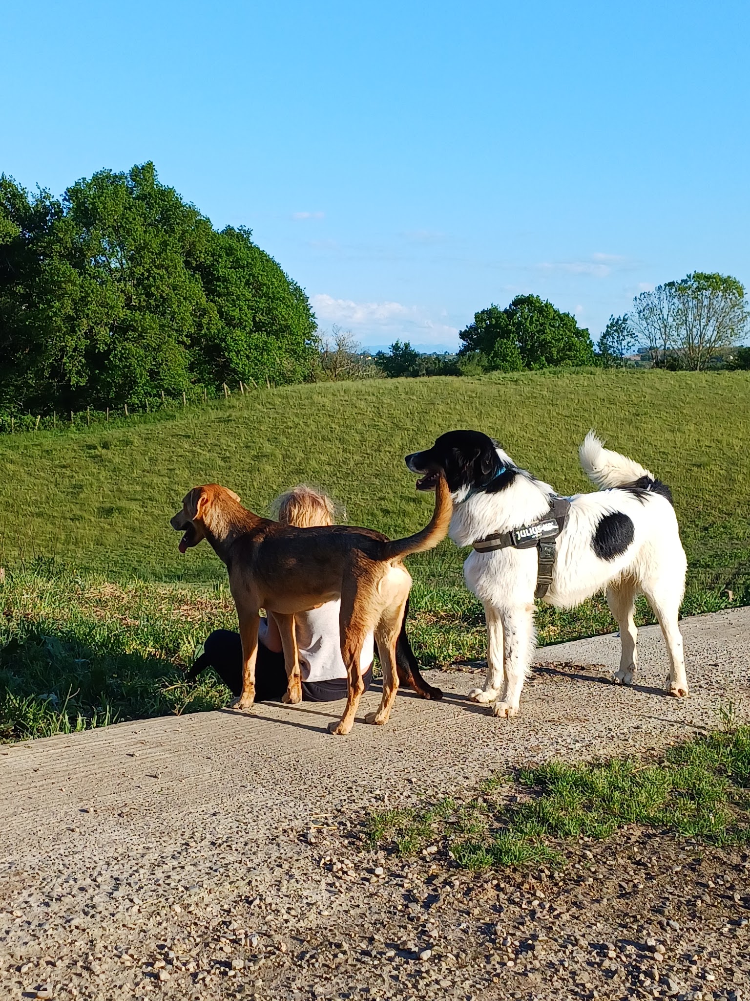 FERME LA CLE DES CHAMPS — photo