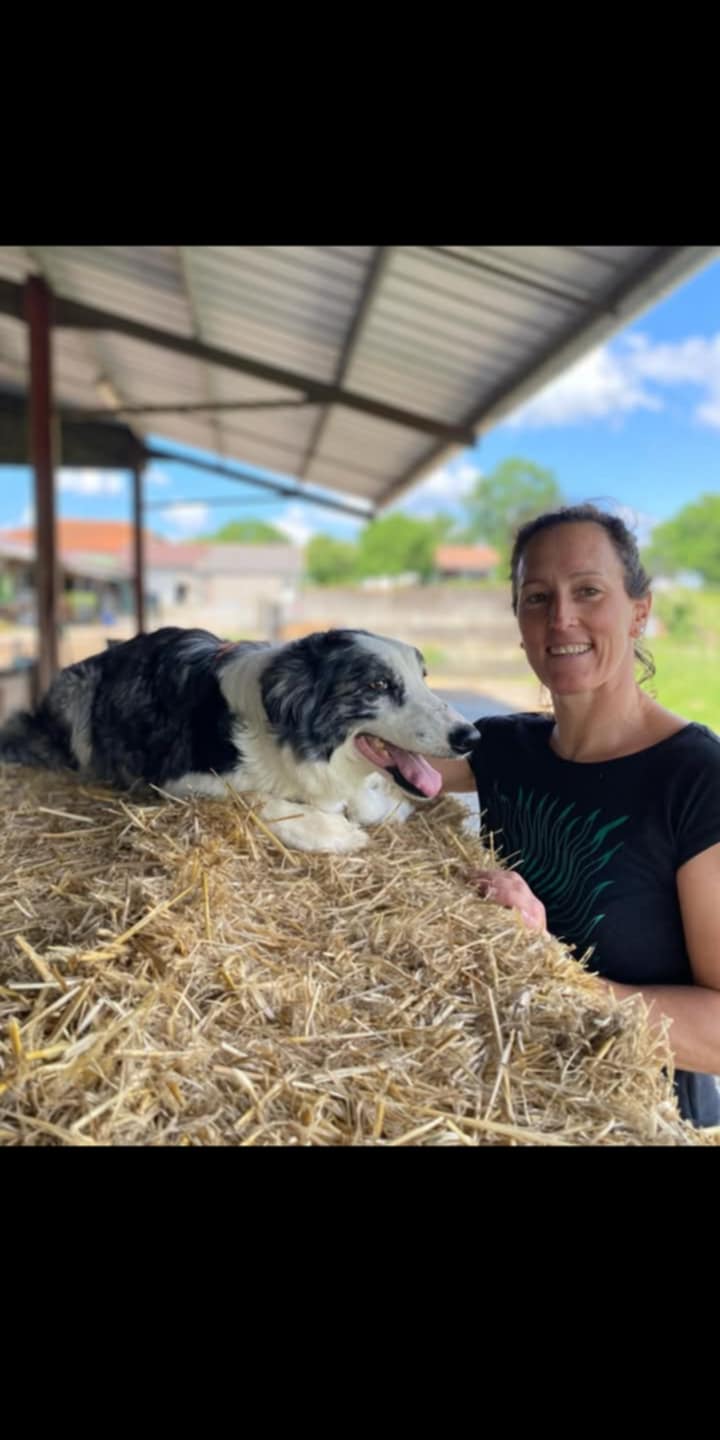 FERME LA CLE DES CHAMPS — photo