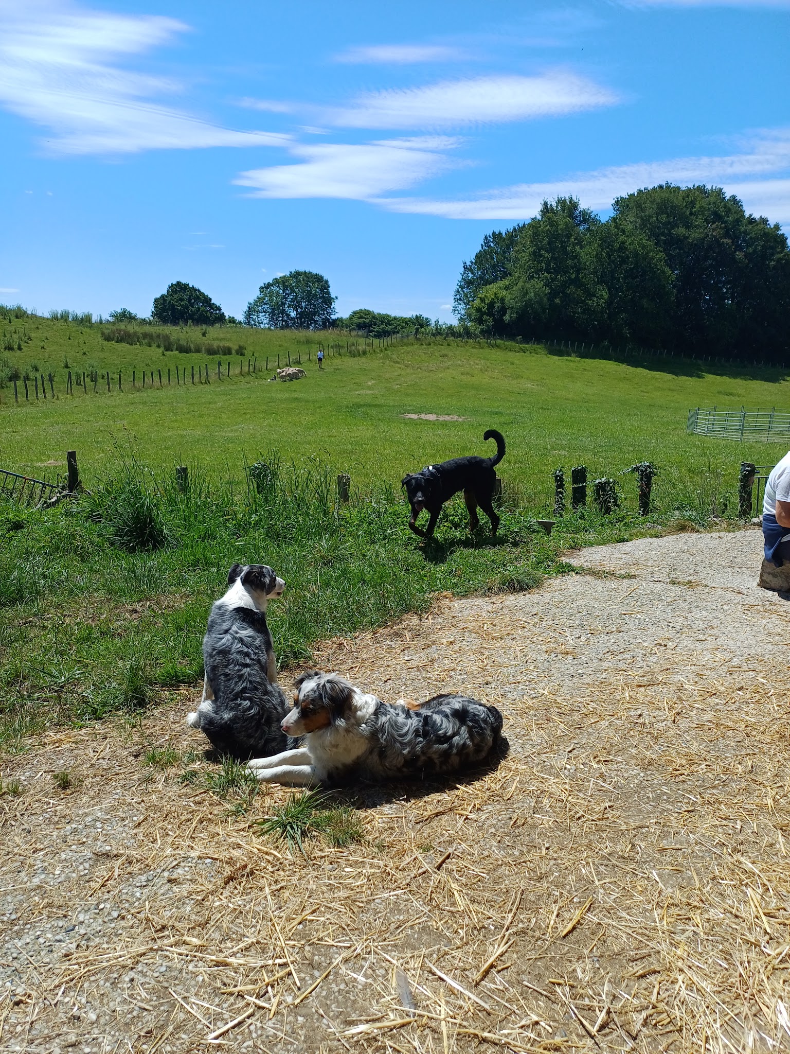 FERME LA CLE DES CHAMPS — photo