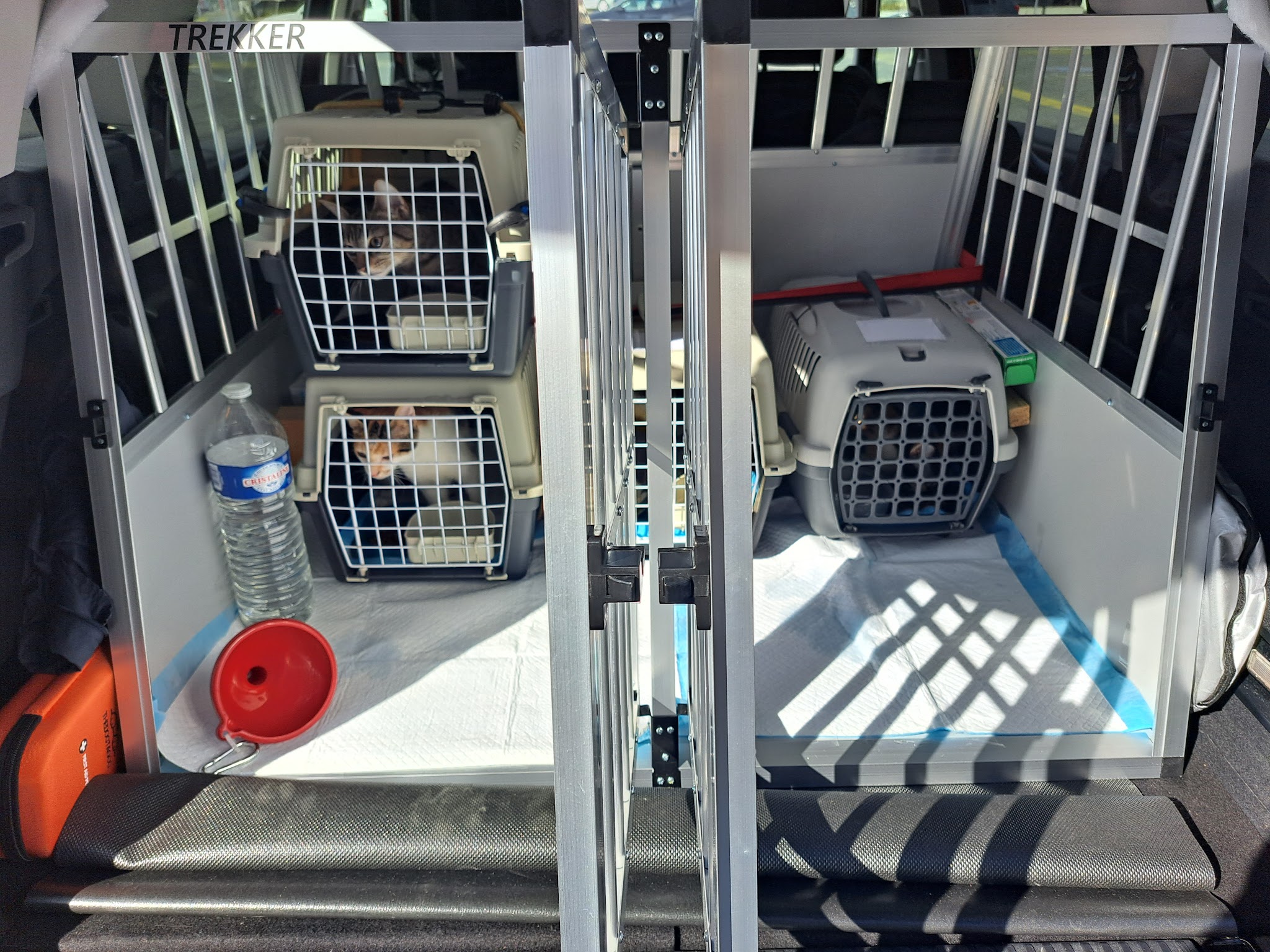 GB Transport Animalier & Pet-Sitter