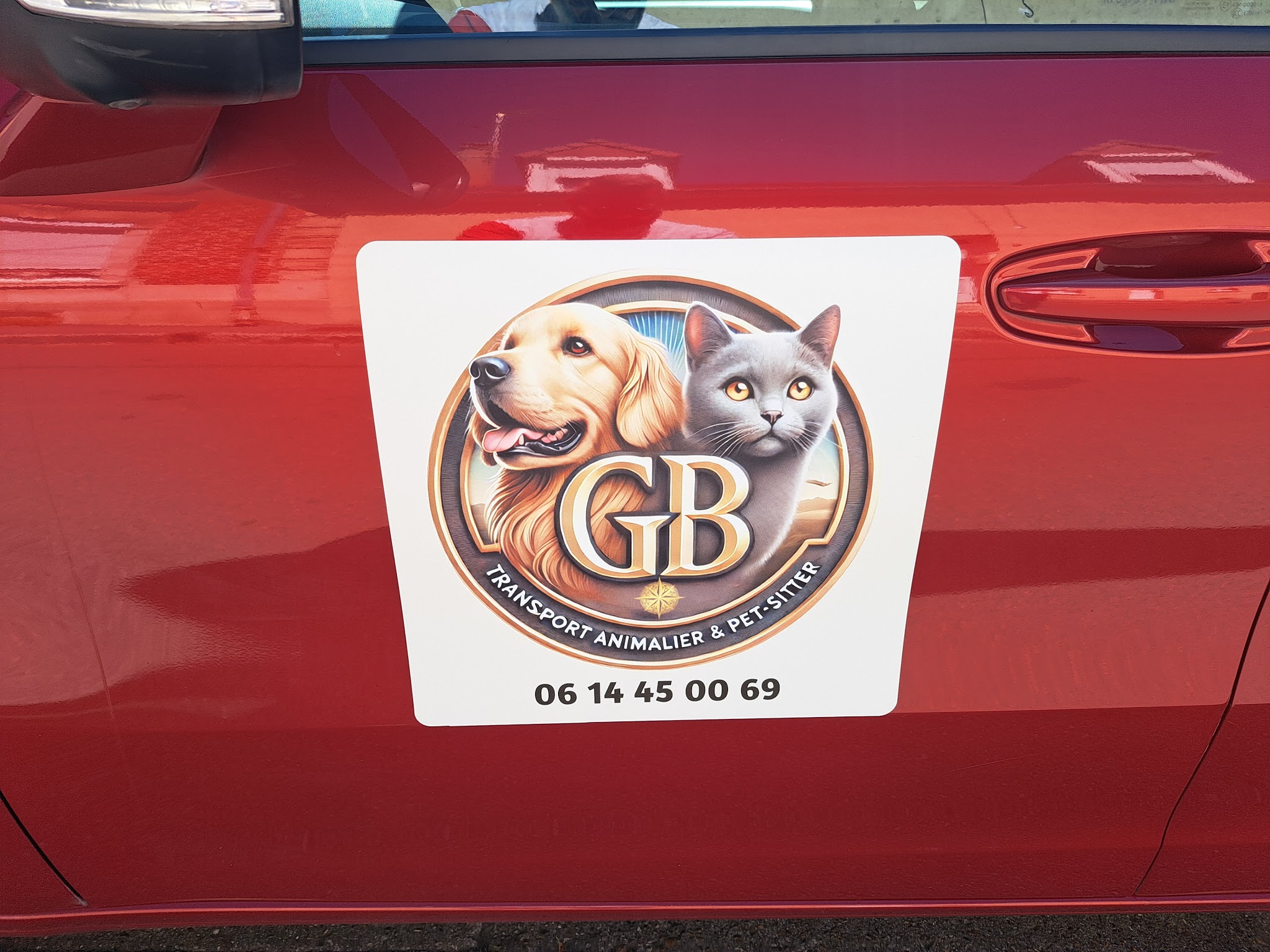 GB Transport Animalier & Pet-Sitter — photo