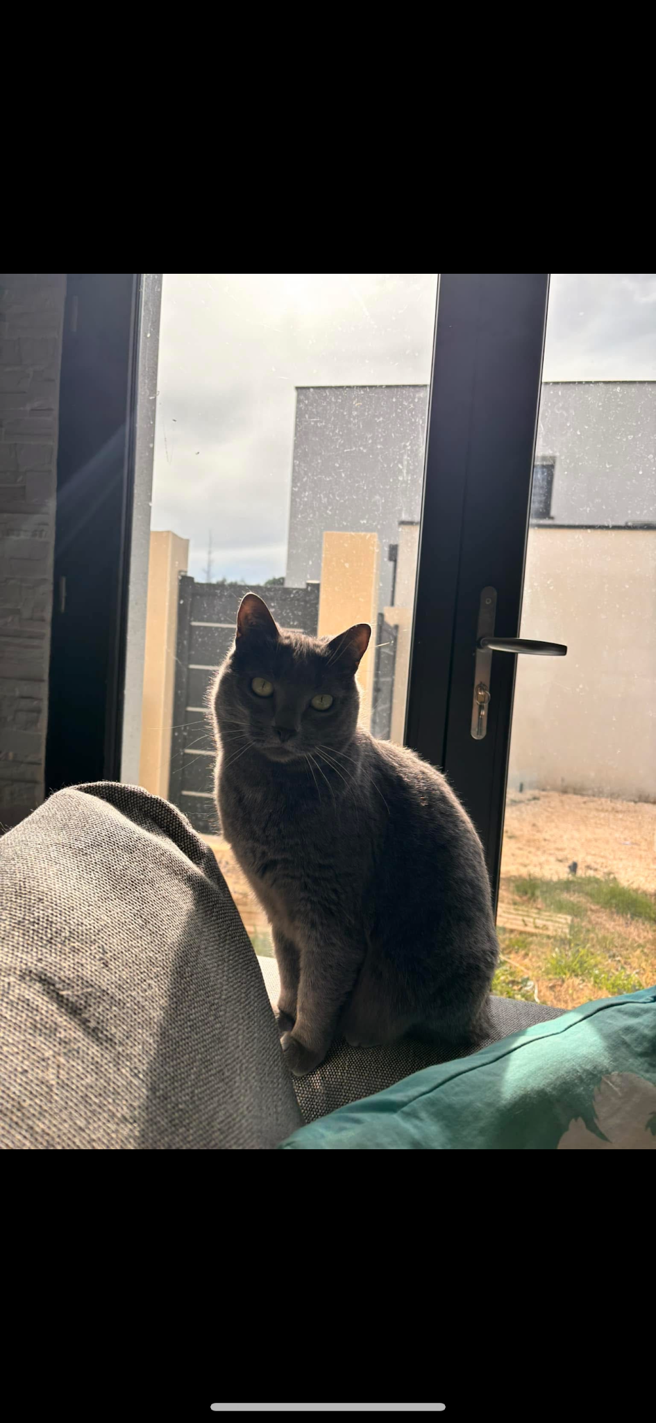 Lola_petsitter30 — photo