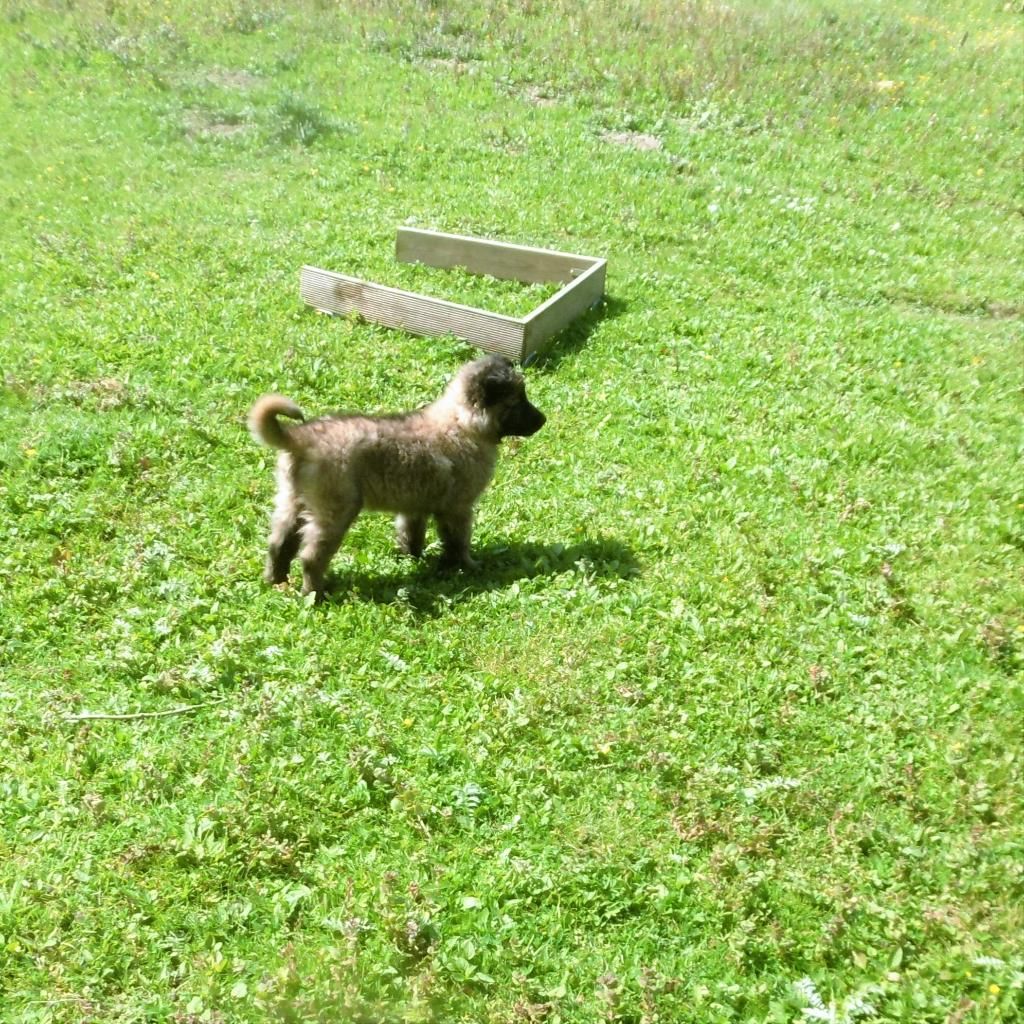 Domaine de Cauvigny — photo
