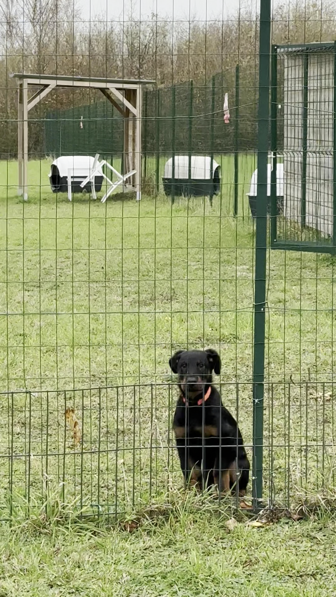 La Casa di Cane — photo
