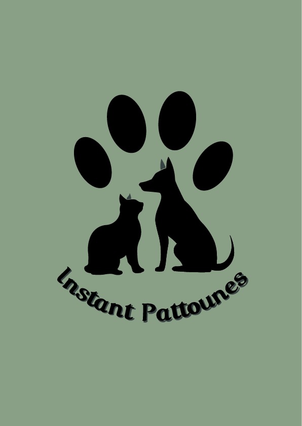 Instant pattounes — photo