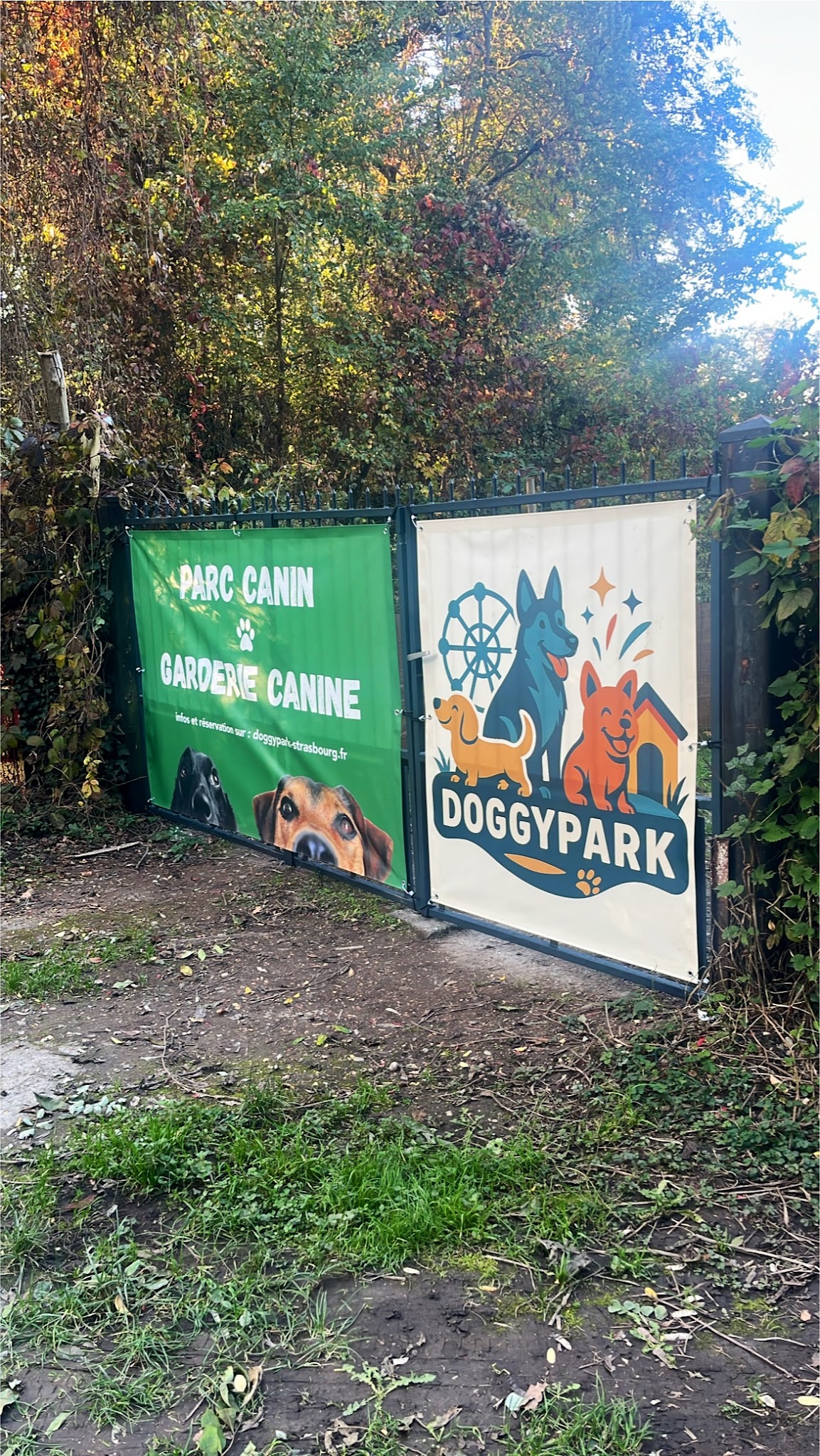 Doggypark — photo
