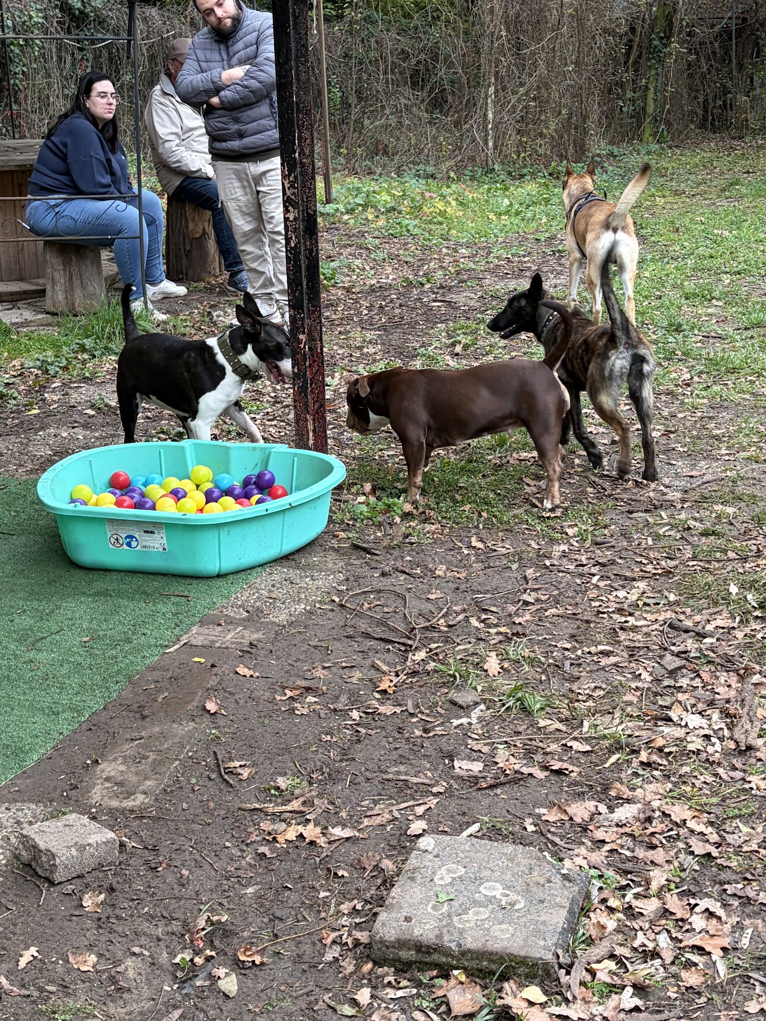 Doggypark — photo
