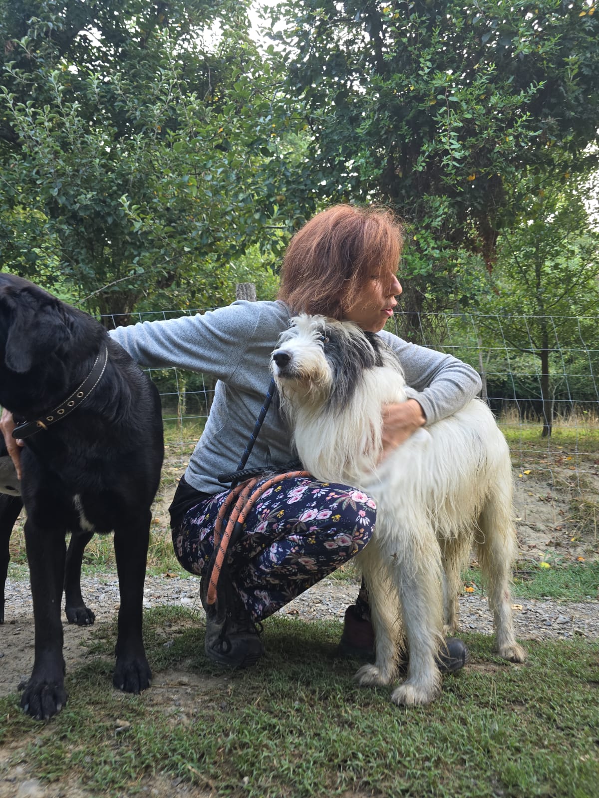 Garde animaux à domicile Anim'Adom — photo