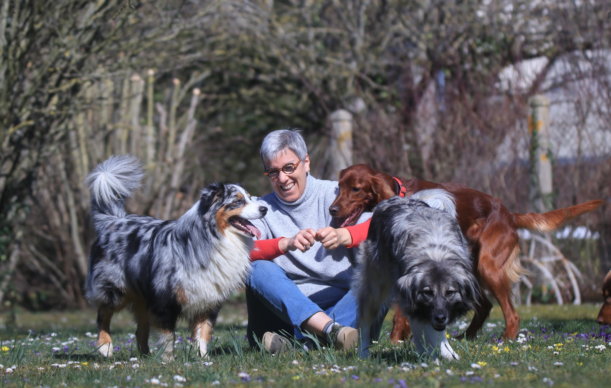 MAISON DES 4 PATTES — photo