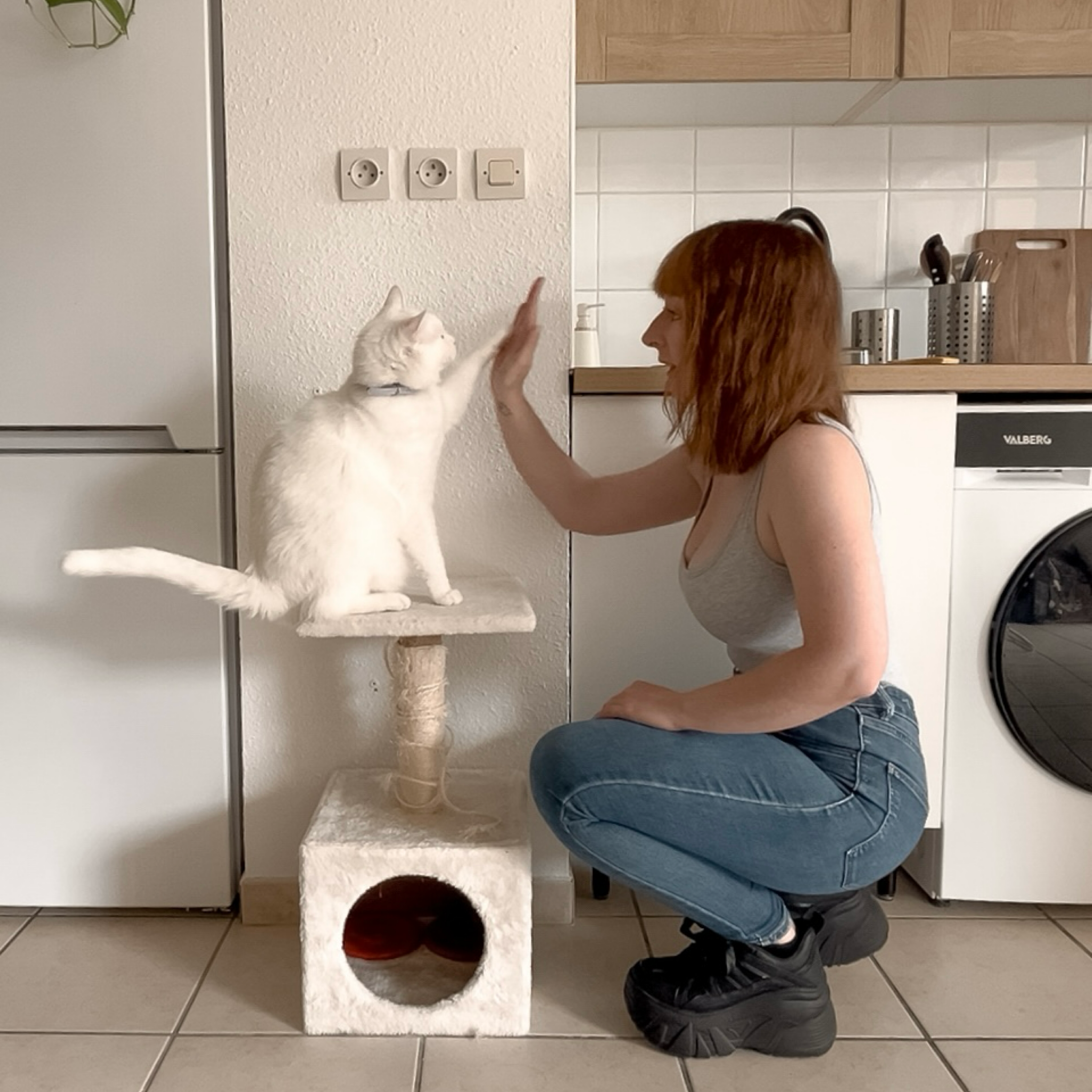 Gang de Patounes - Pet Sitter & Éducateur canin Bordeaux — photo