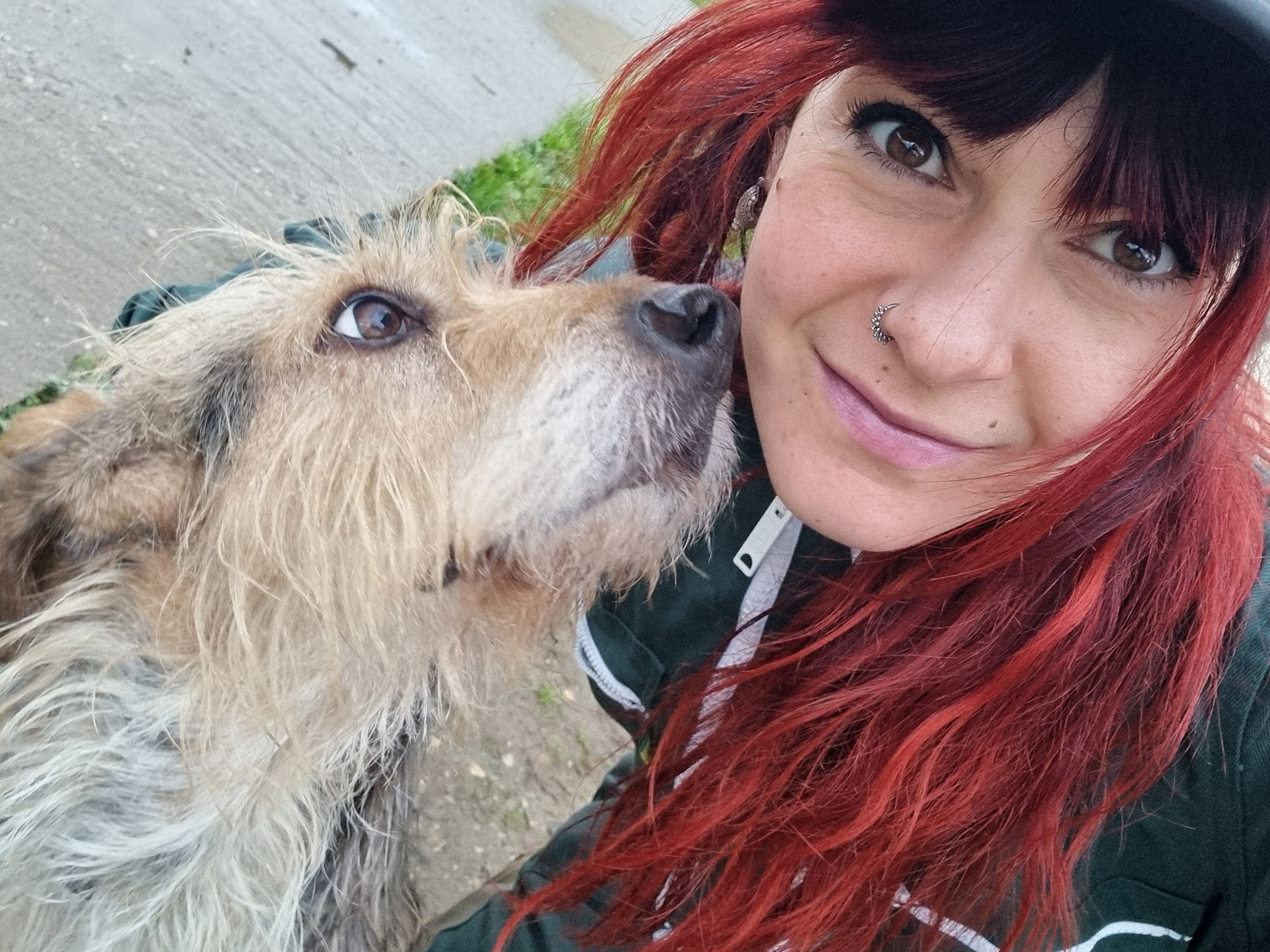 Debbie et les chiens — photo
