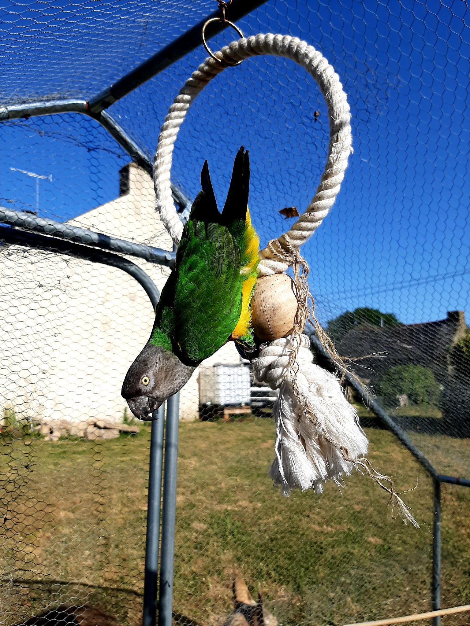 Fauna breizh