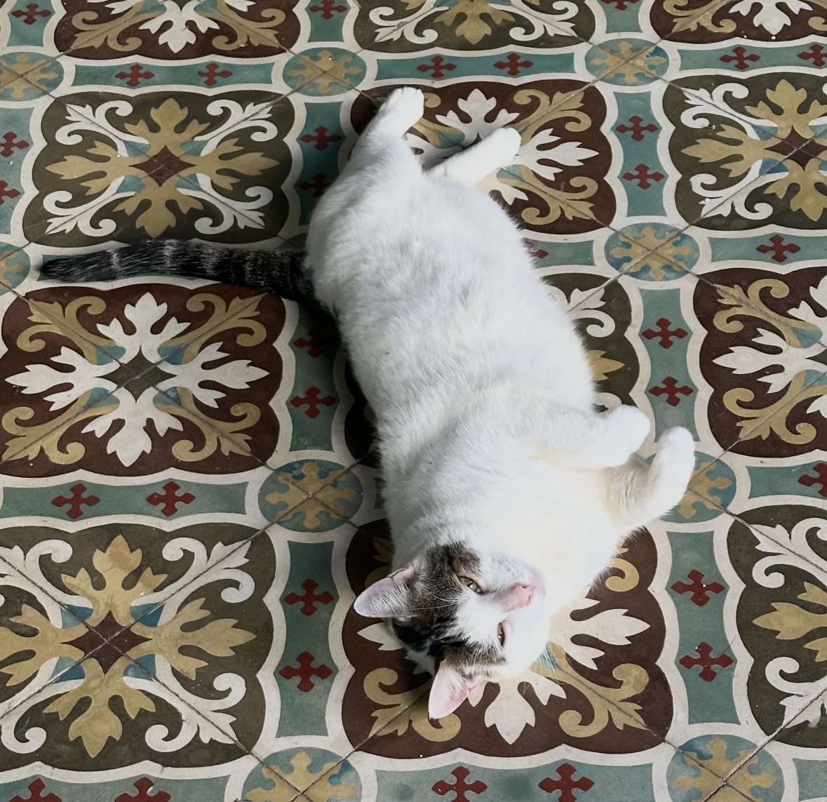 L'Arche de Julie — photo