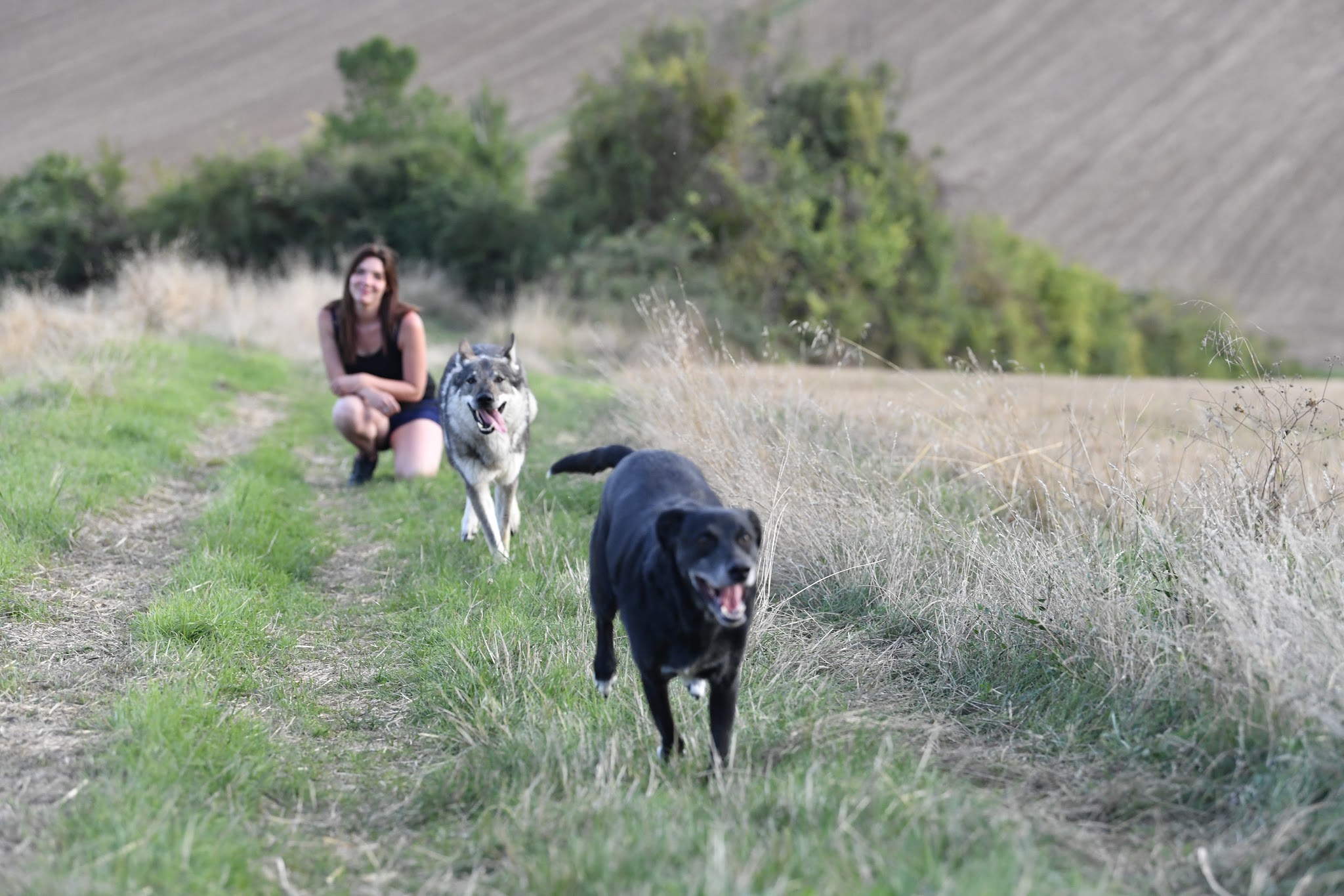 Anim'S Dog - Education Canine