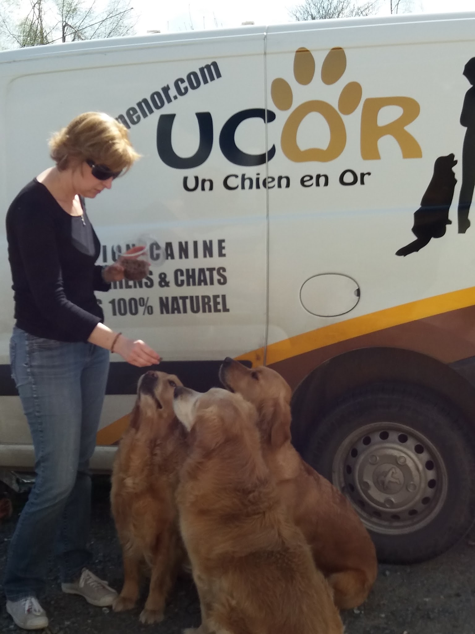 UCOR Un Chien en OR — photo