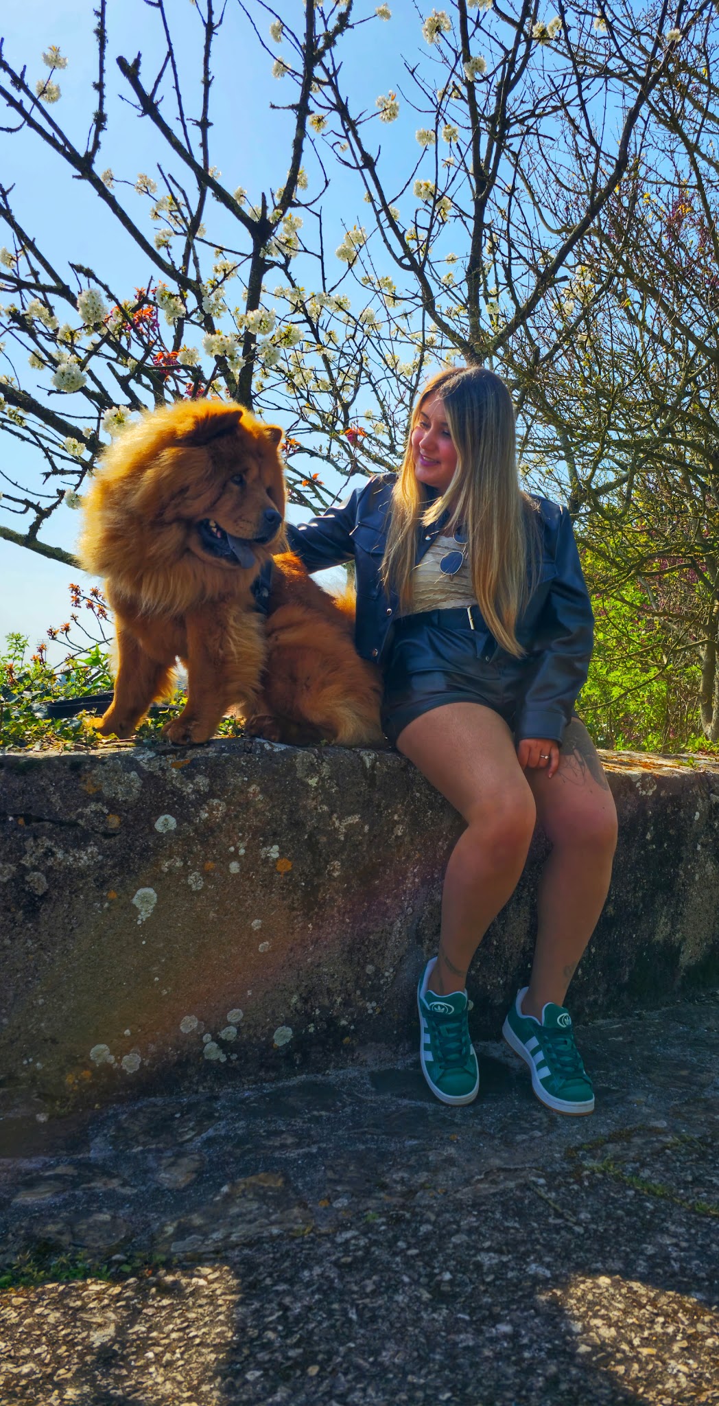 Les pattounes voyageuses — photo