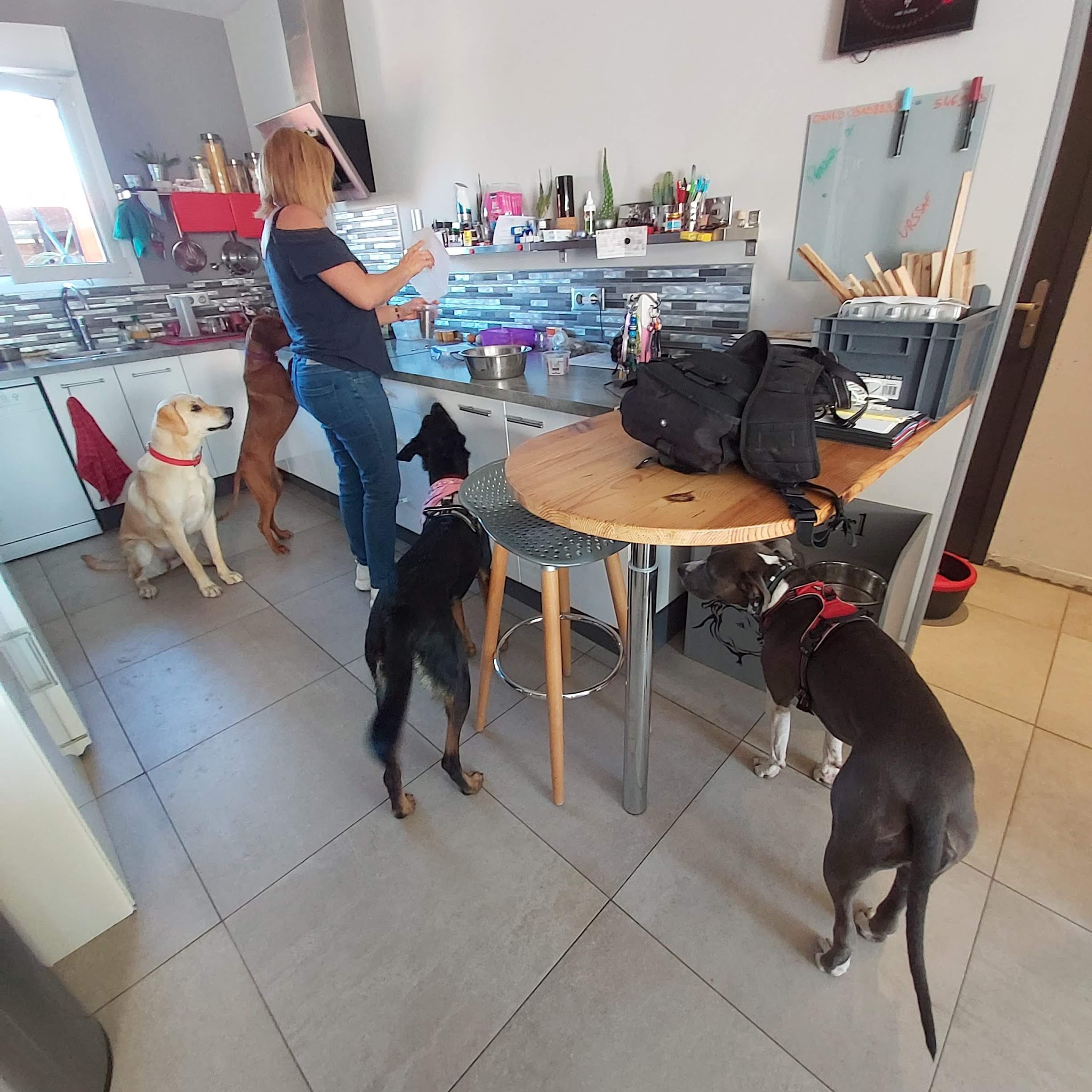 Mary pet-sitter — photo