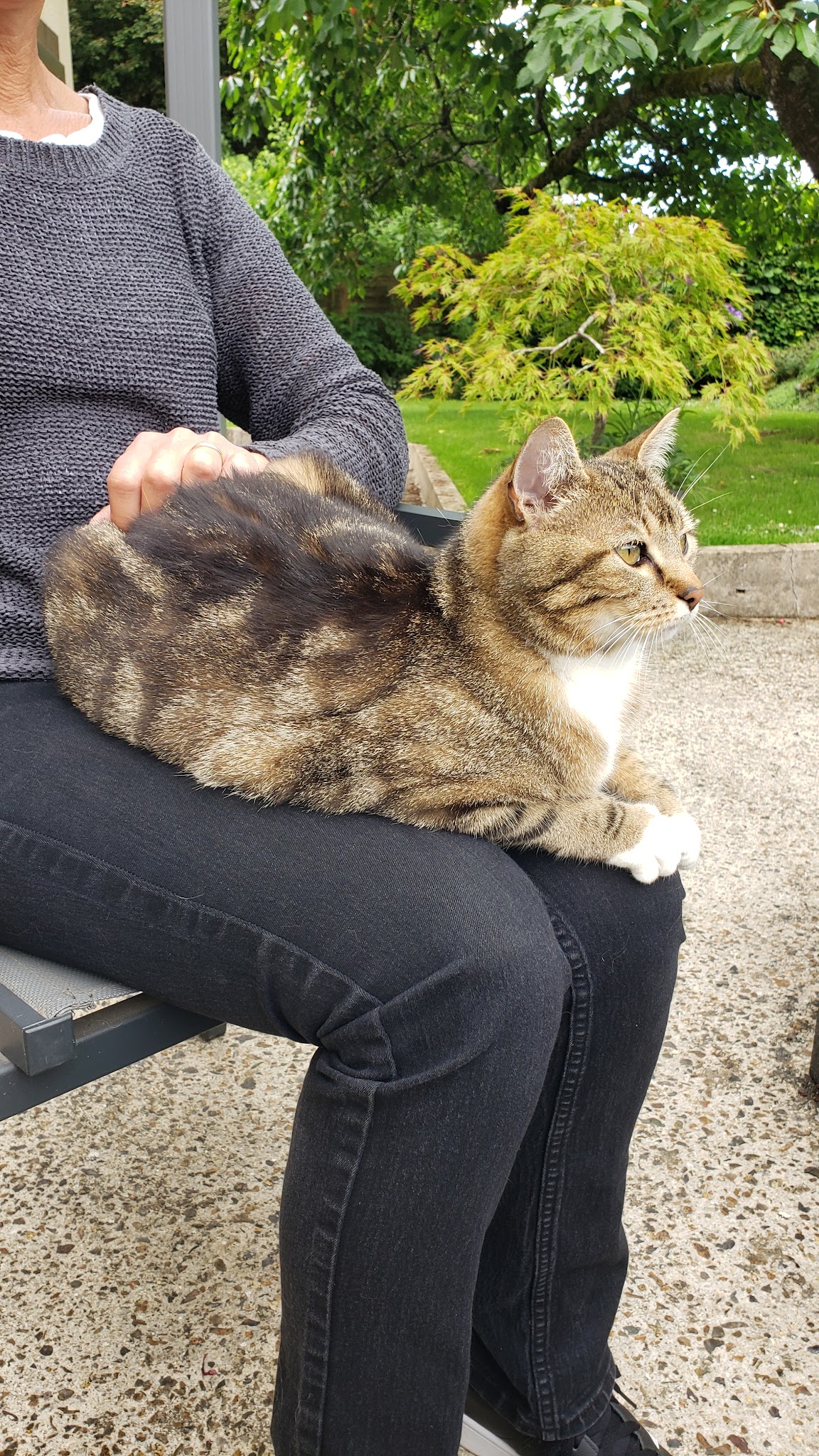 Coucouche Panier — photo