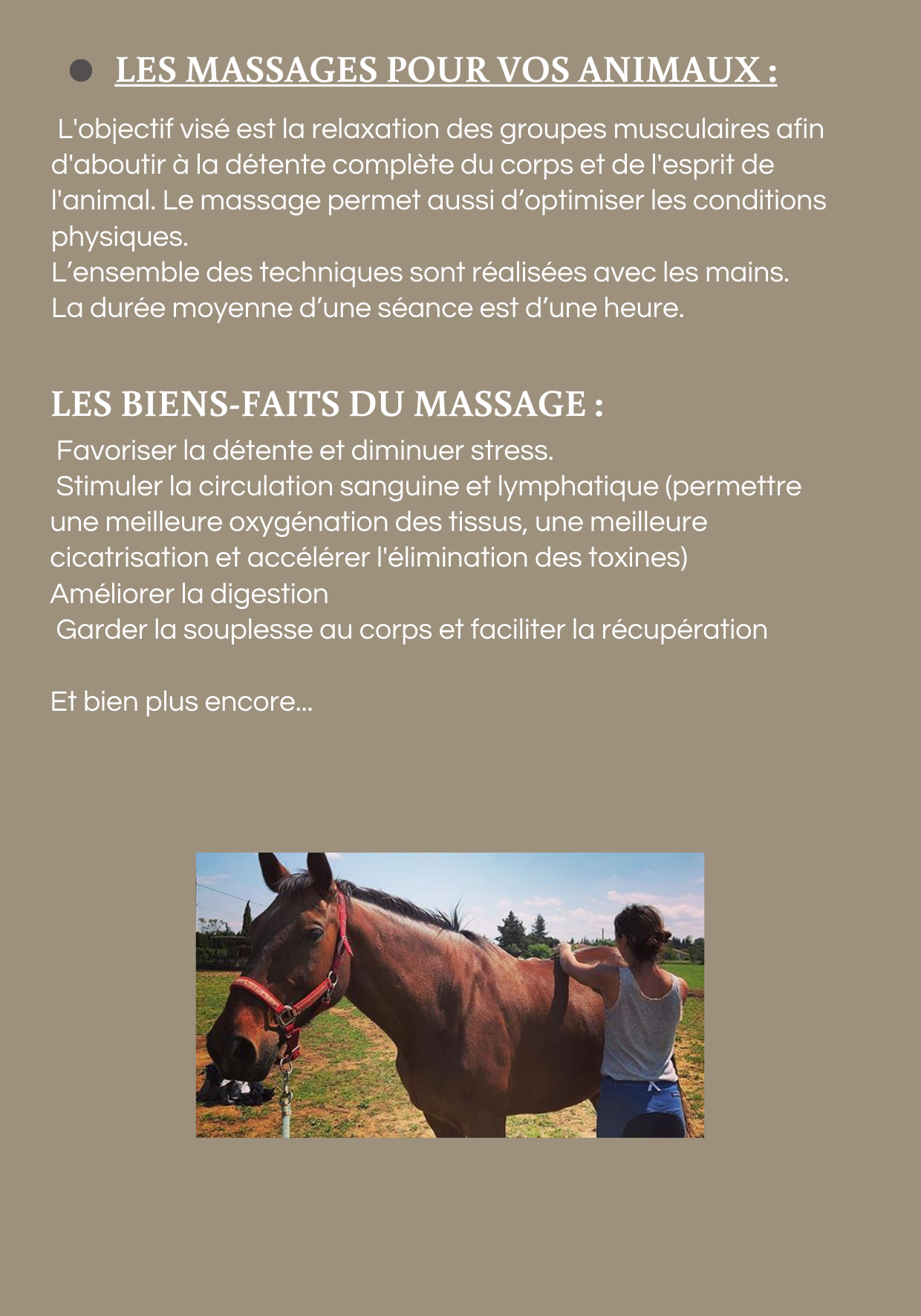MM Animalier - Bien être animalier et Pet Sitting — photo