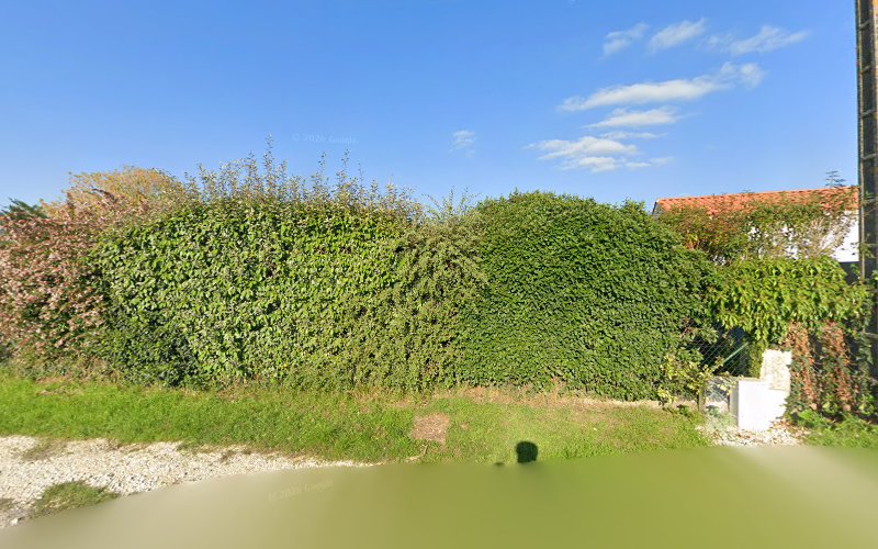 Le Domaine Des Guillons