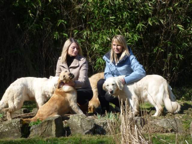 Elevage des Berberis, Pension canine, Education canine — photo