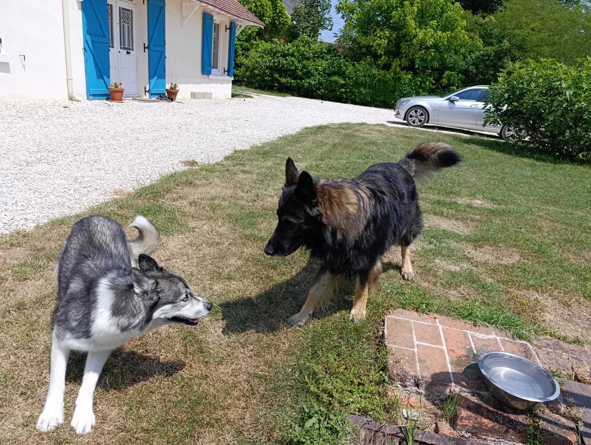 Canins des Champs — photo