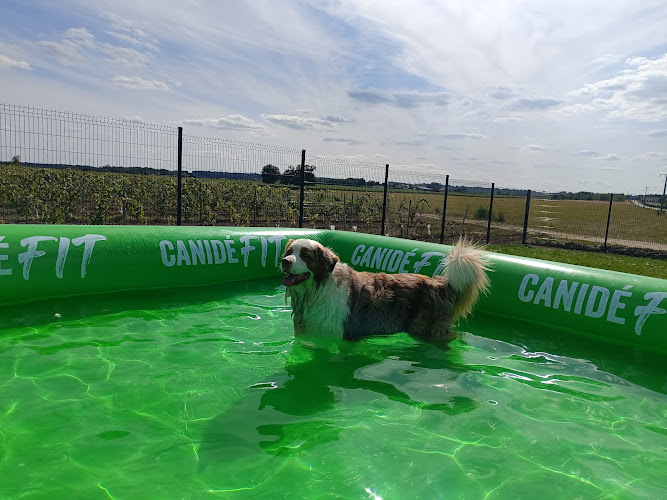 Cognac Pet Resort