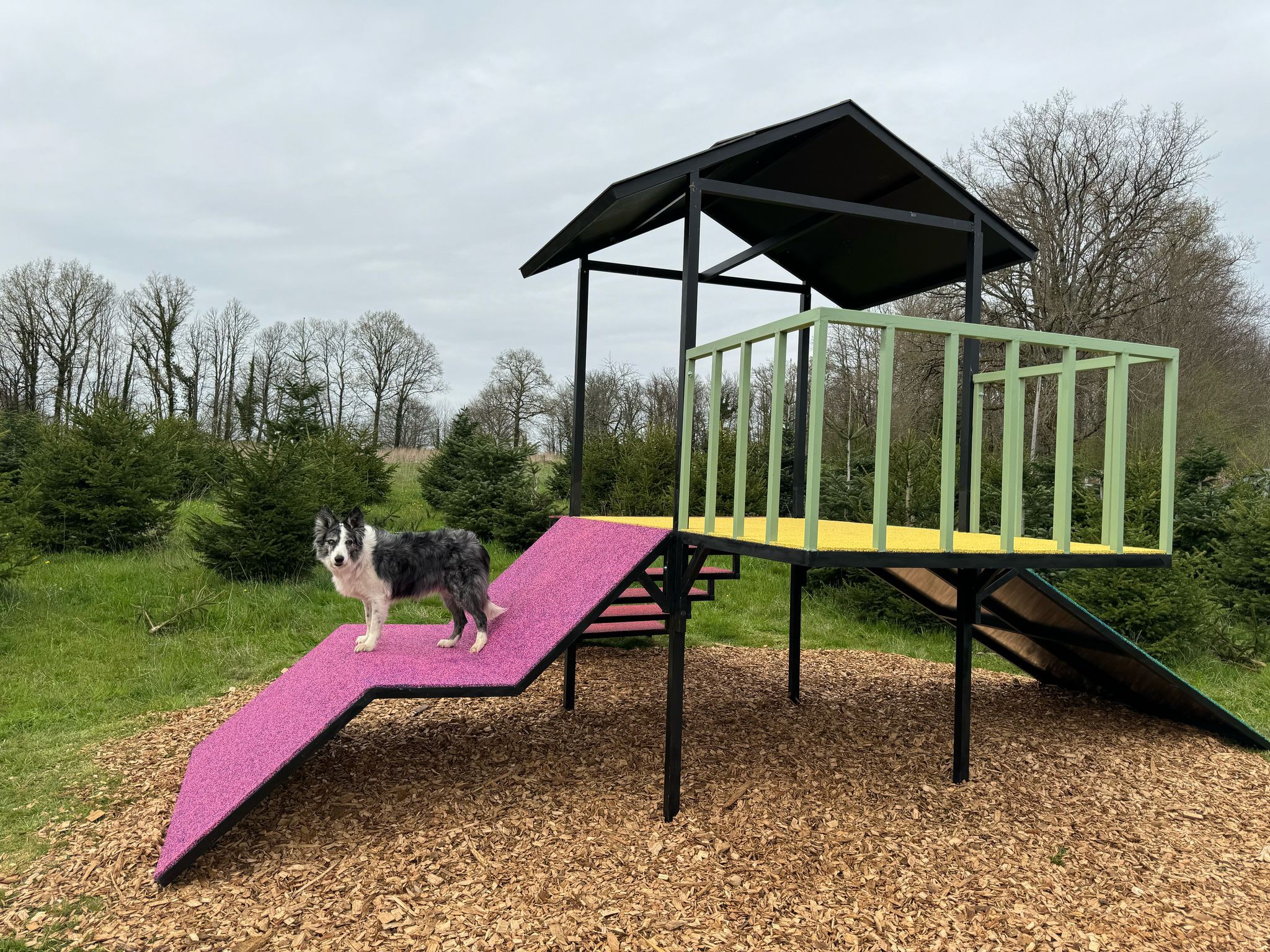 Cognac Pet Resort — photo