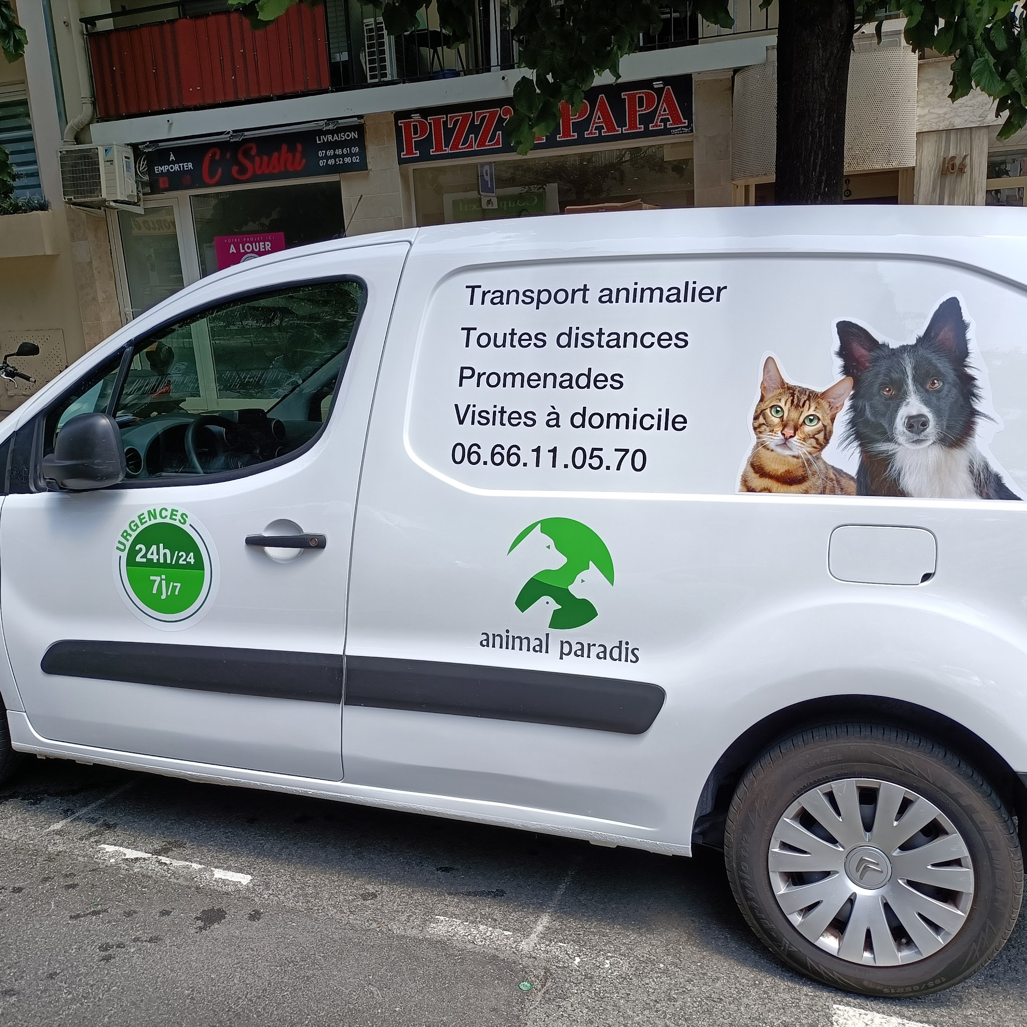 Animal paradis service animalier — photo